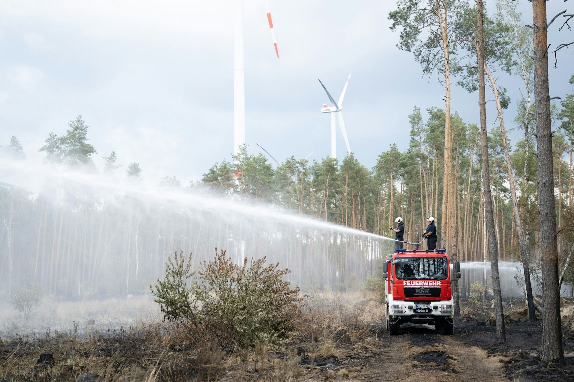 Löscharbeiten der Feuerwehr in einem Waldbrandgebiet.  