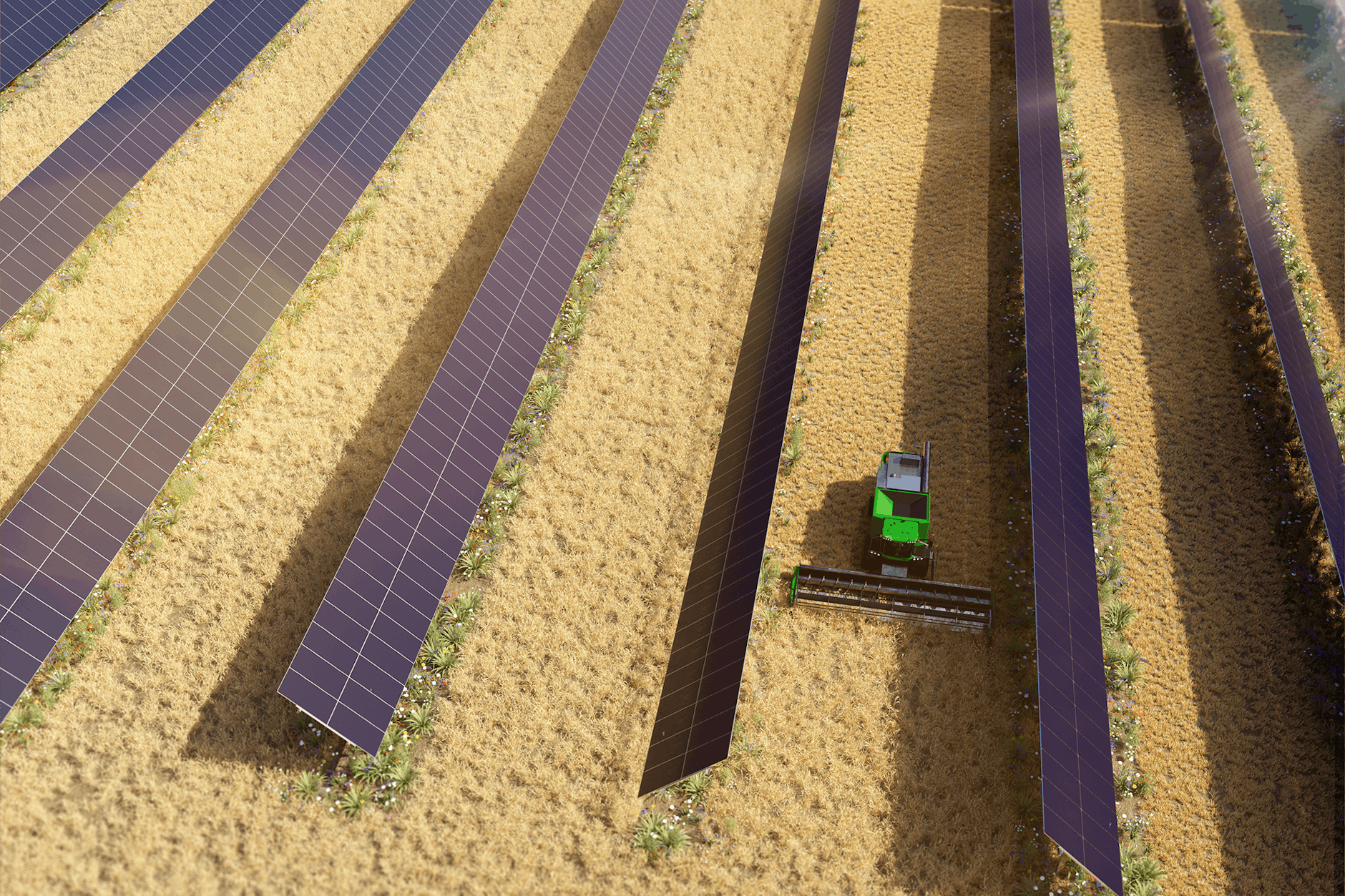 PV-Tracker: Die Solaranlagen eines Brandenburger Unternehmens richten sich nach der Sonne aus.