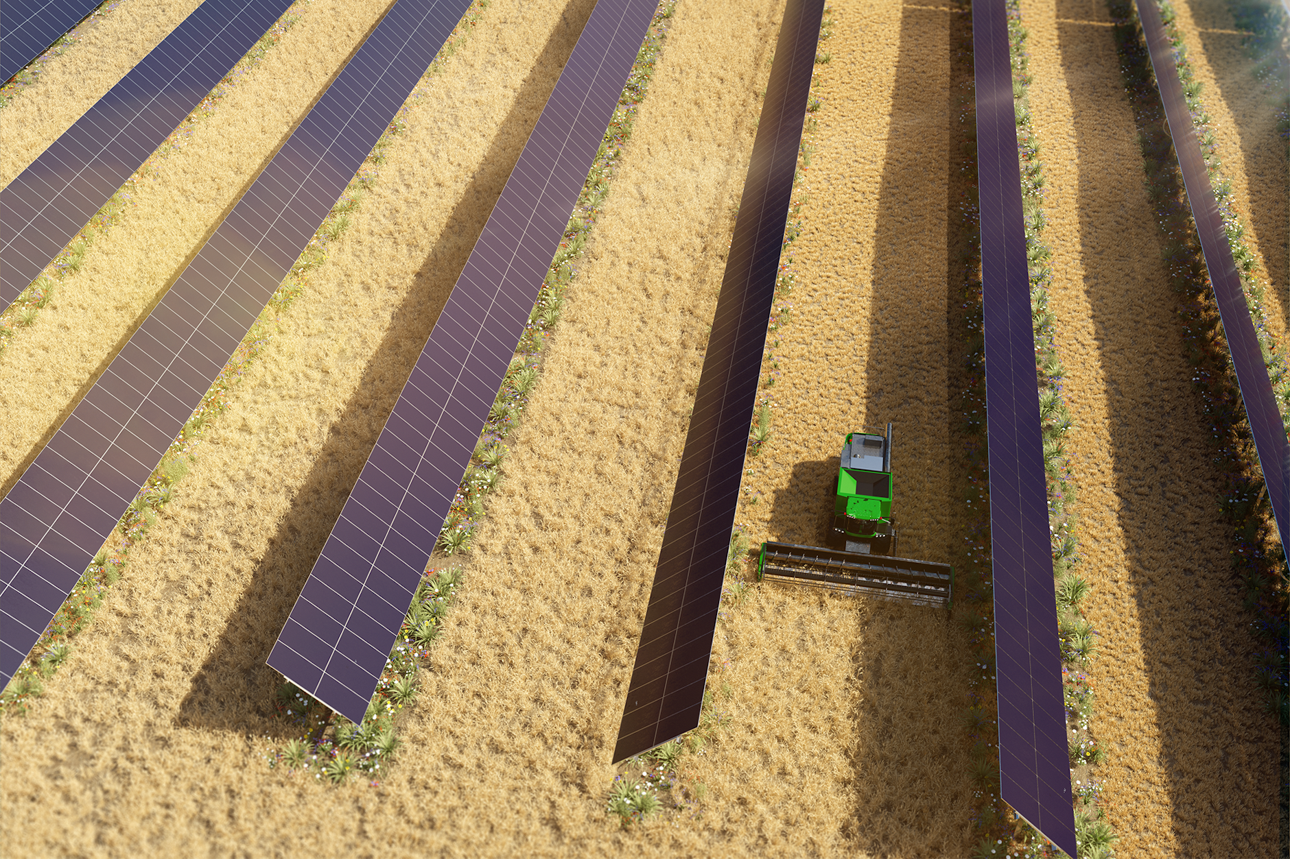 PV-Tracker: Die Solaranlagen eines Brandenburger Unternehmens richten sich nach der Sonne aus.