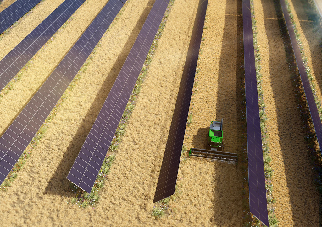 Photovoltaik: Brandenburger Firma verspricht „preiswerten grünen Strom“ aus der Landwirtschaft