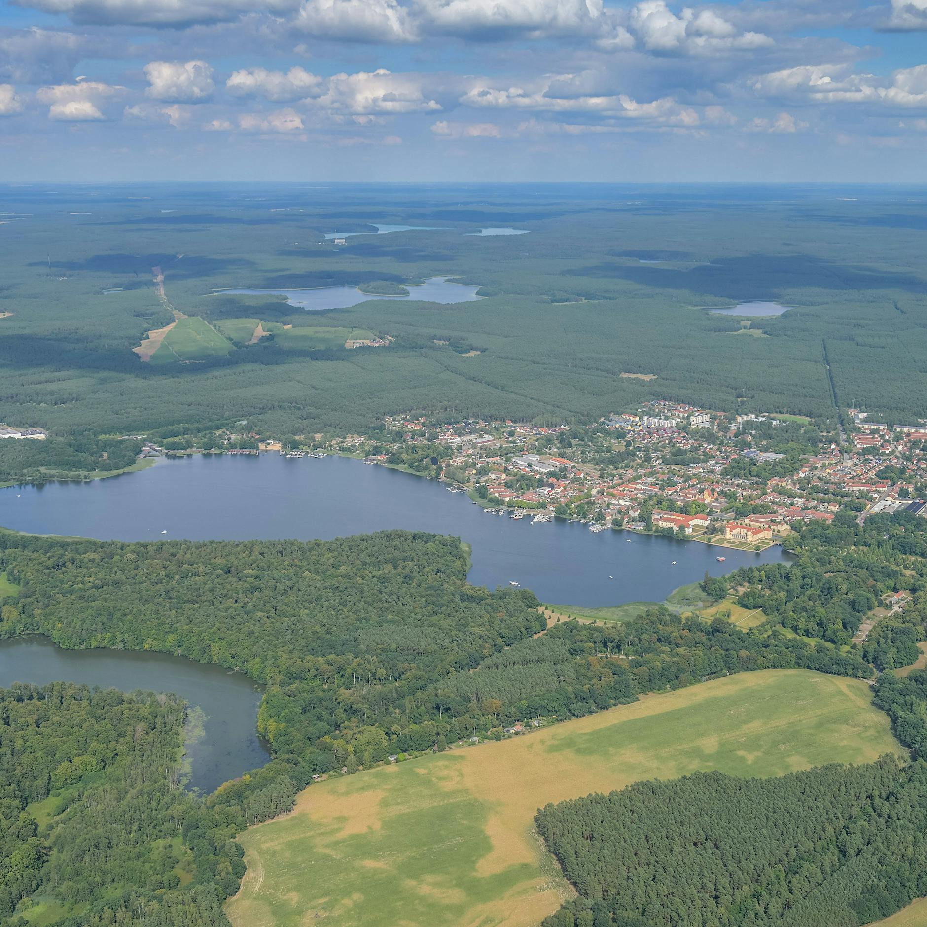 Vier Hektar Wald stehen bei Rheinsberg in Flammen