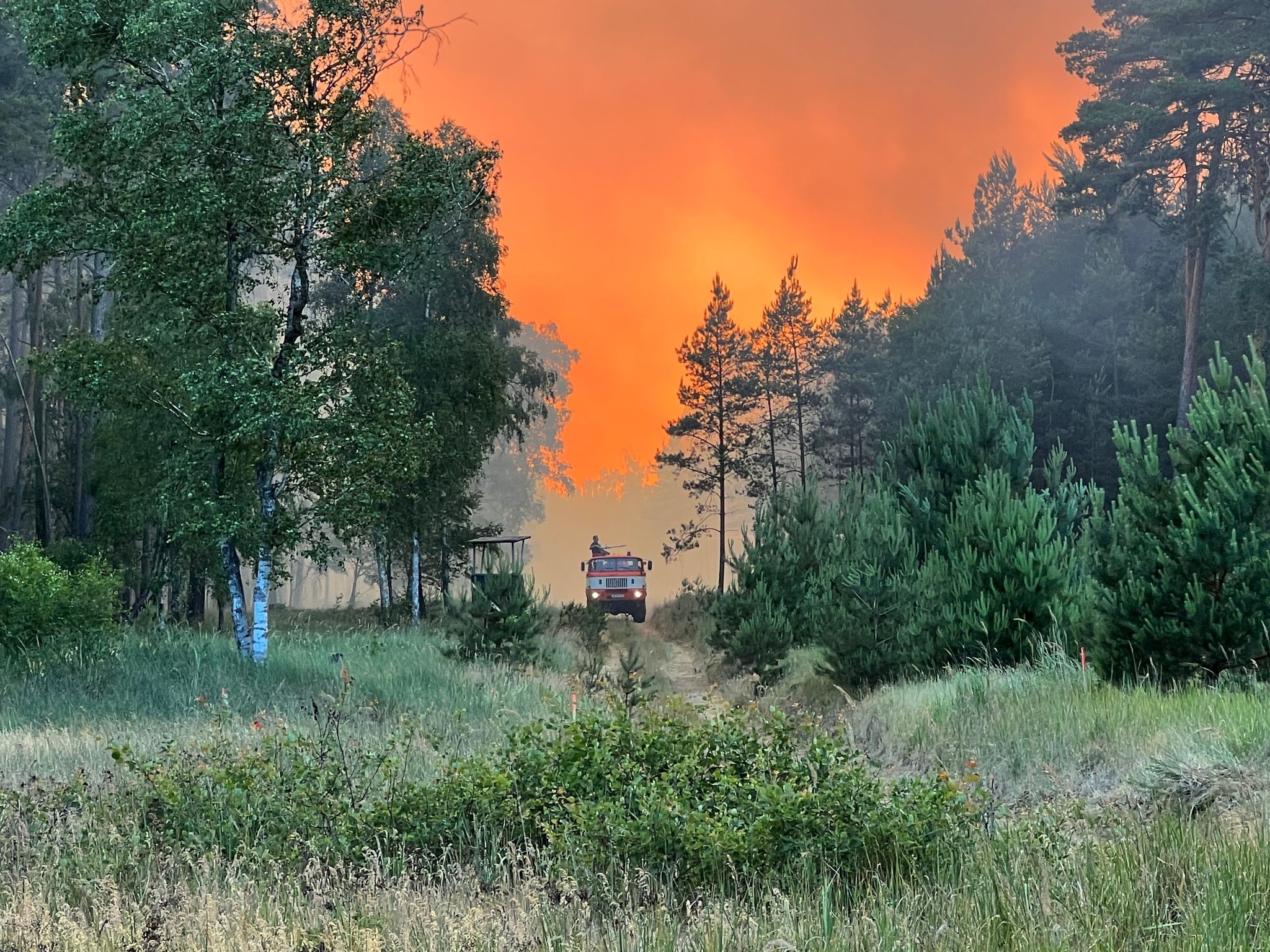 Waldbrand Bei Lübtheen: Wind Und Explosionen, Dorf Ist Weiter In Gefahr