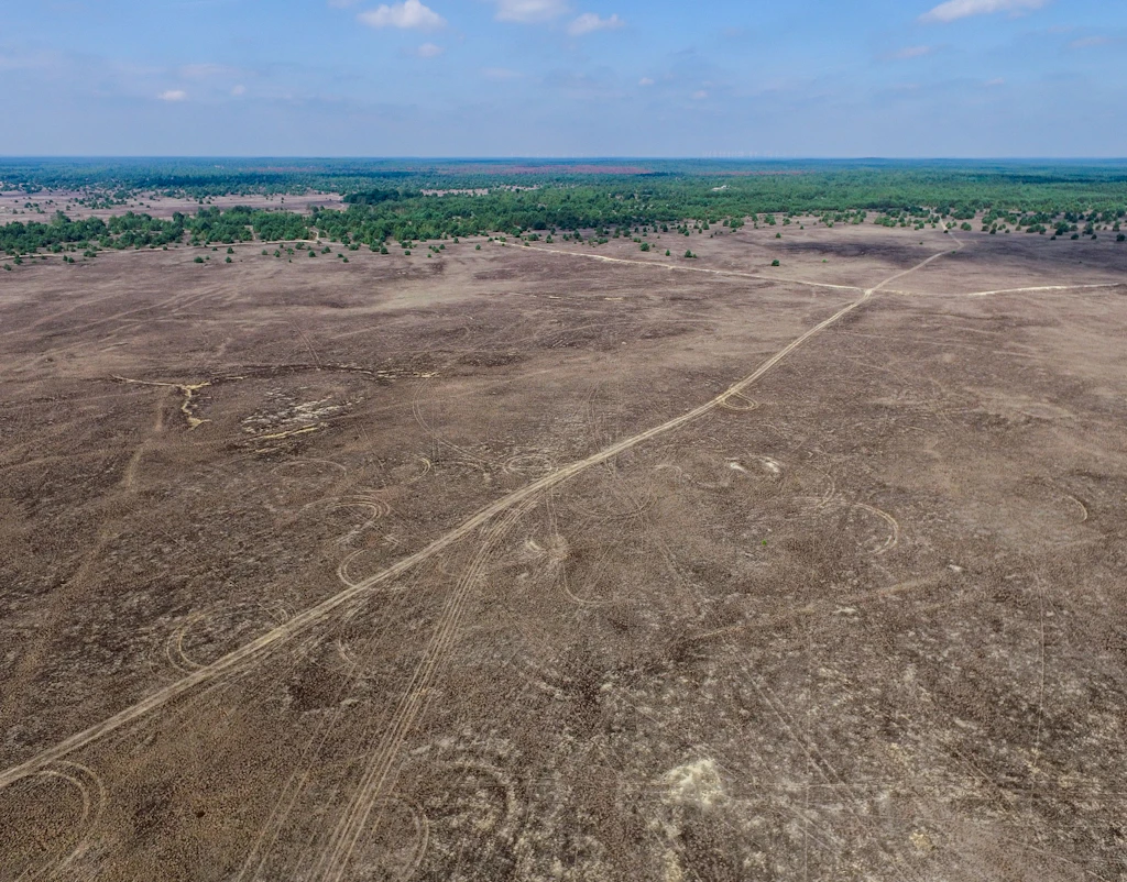 Eine Wüste in Brandenburg? Ja, aber schuld ist nicht der Klimawandel