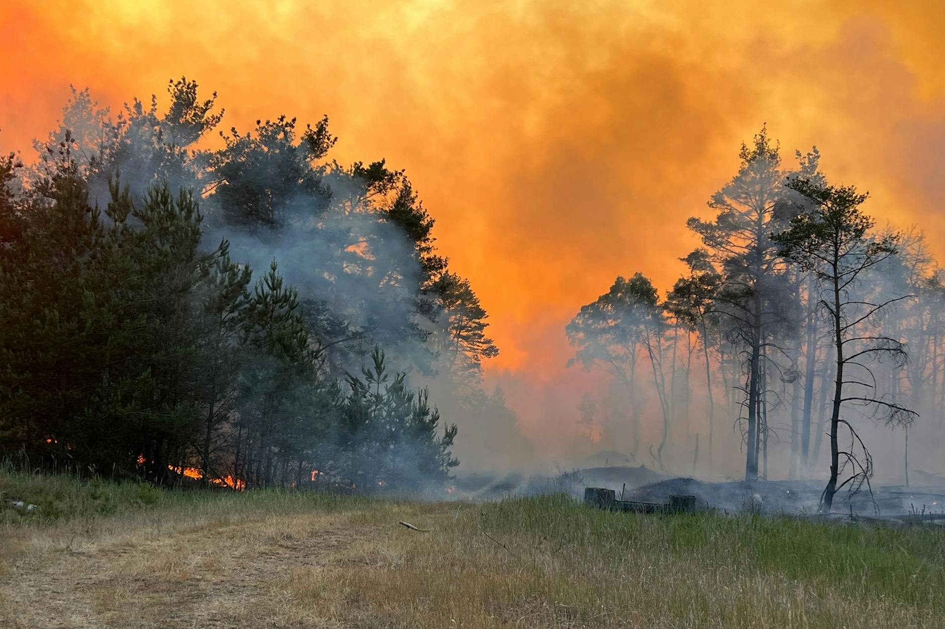 Rauch und Flammen am ehemaligen Truppenübungsplatz in Lübtheen in Mecklenburg-Vorpommern.