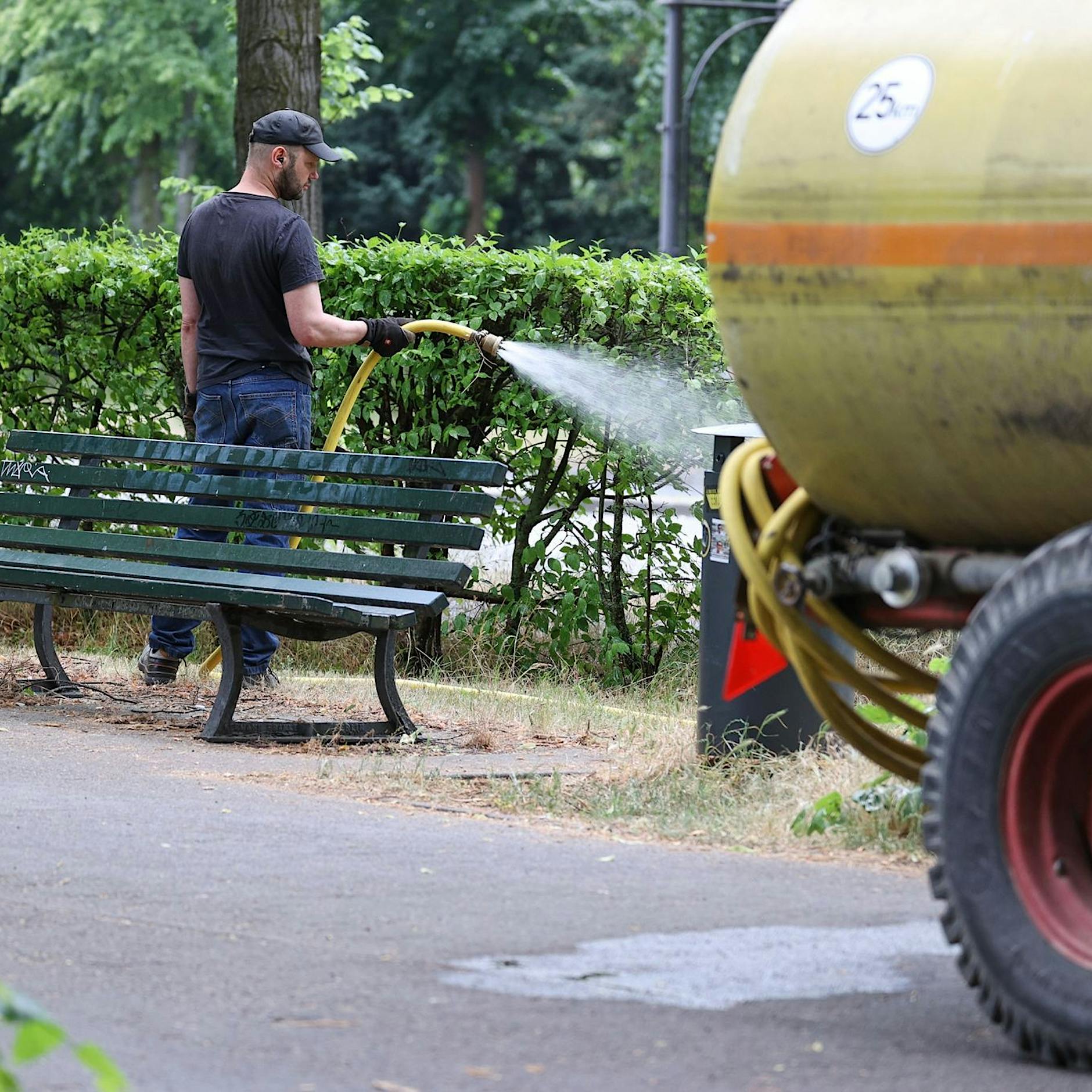 Stadtnaturexperte: Nicht nur Trockenheit ist das Problem