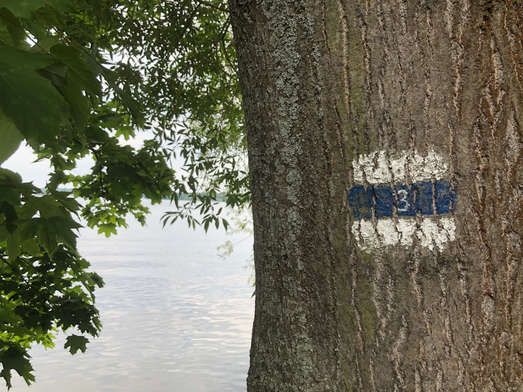 Berlin mit Kindern: Entdecken Sie die 20 grünen Berliner Wanderwege