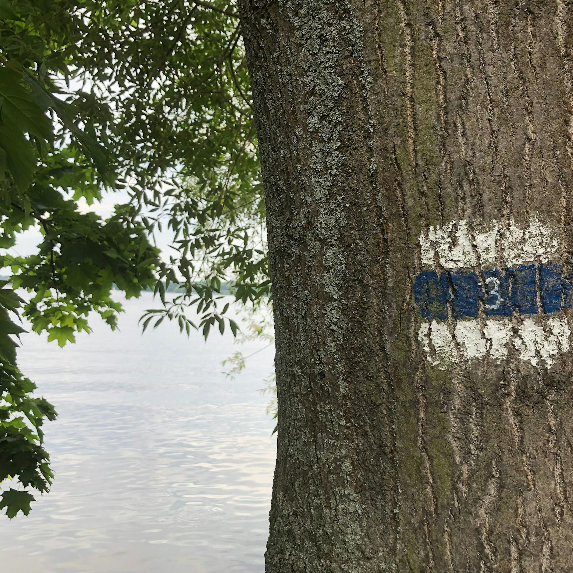 Berlin mit Kindern: Entdecken Sie die 20 grünen Berliner Wanderwege