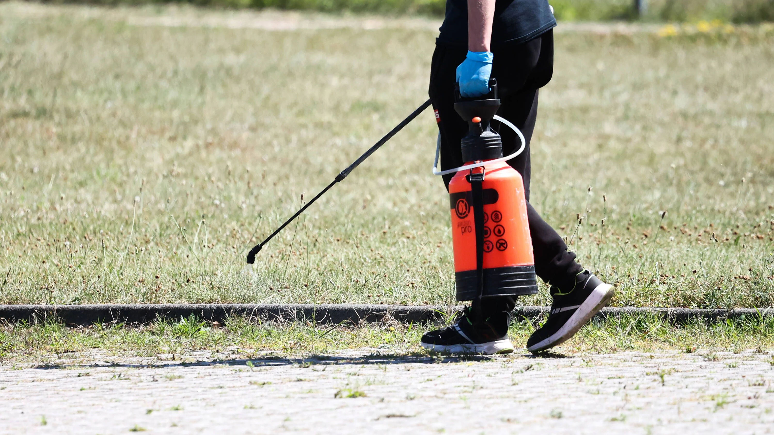 Unkraut kann man auch mit Hitze zu Leibe rücken – mit einem speziellen Gerät oder mit heißem Wasser.