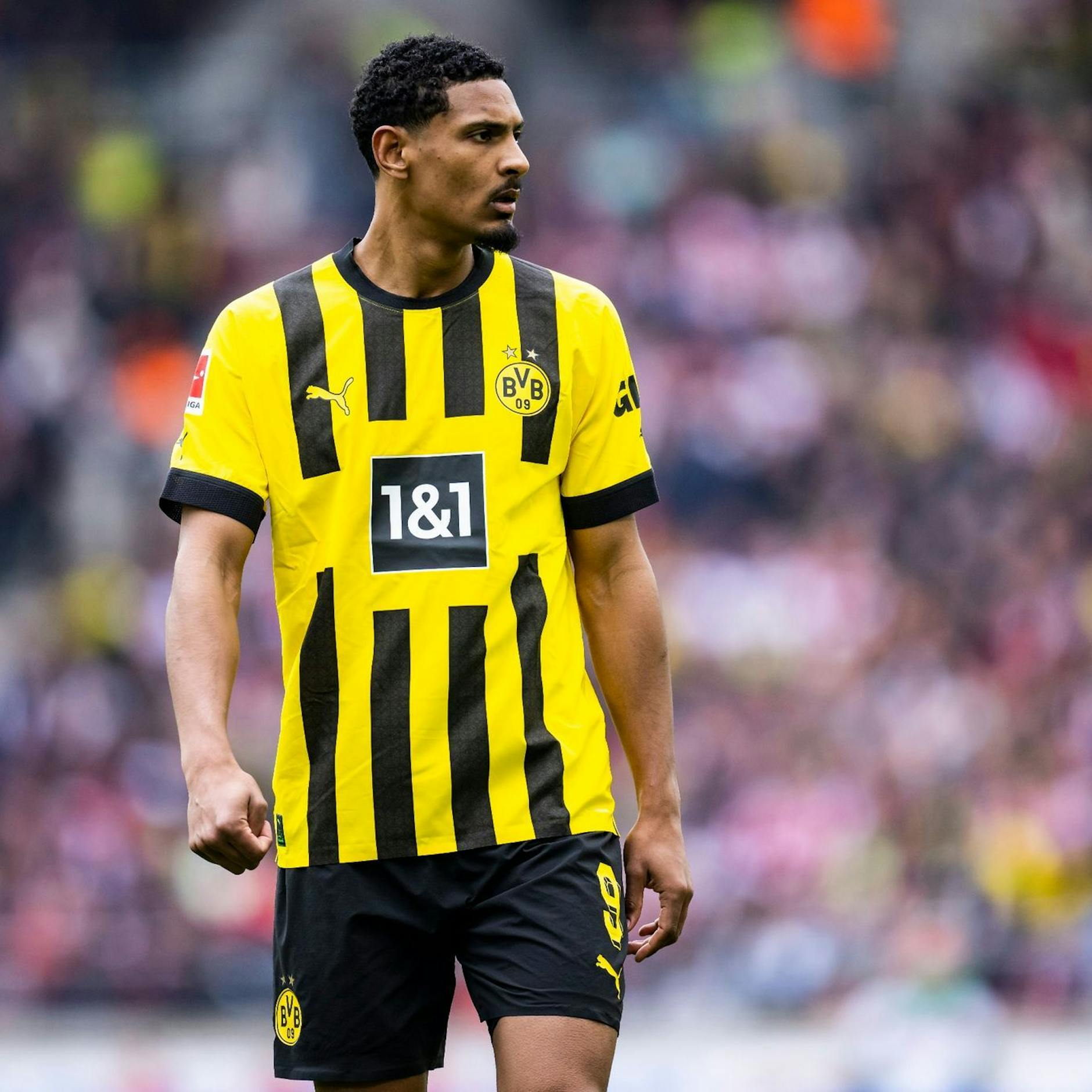 Image - Vier betroffene Profis: Hodenkrebs-Studie veröffentlicht