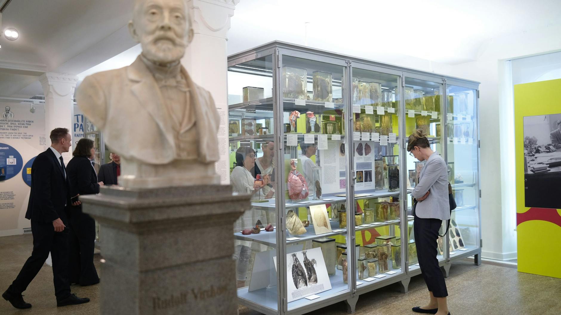 Blick in die überarbeitete Ausstellung im Medizinhistorischen Museum der Charité. 