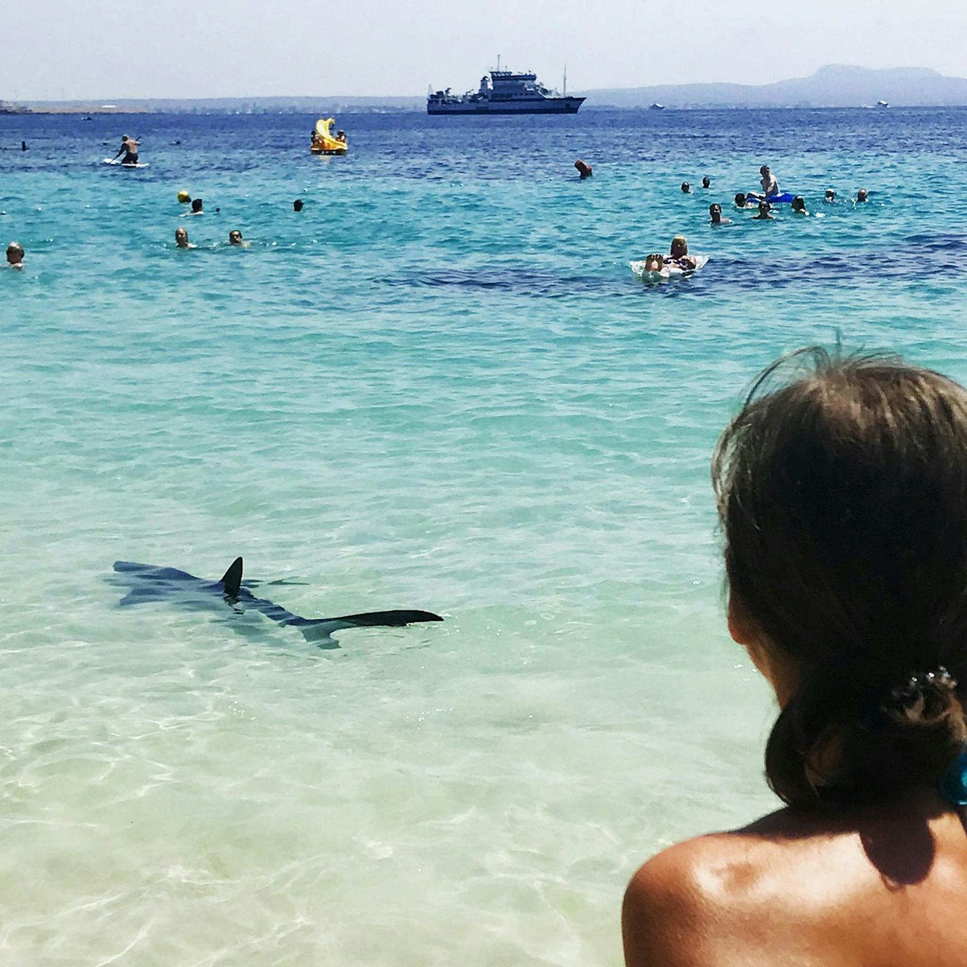 Dramatisches Video: Hai-Alarm in Spanien – Badegäste attackiert!