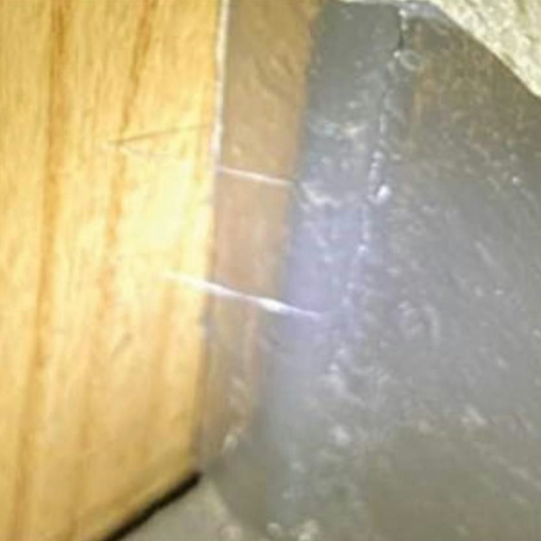 Kaum zu sehen, die dünnen Fäden.