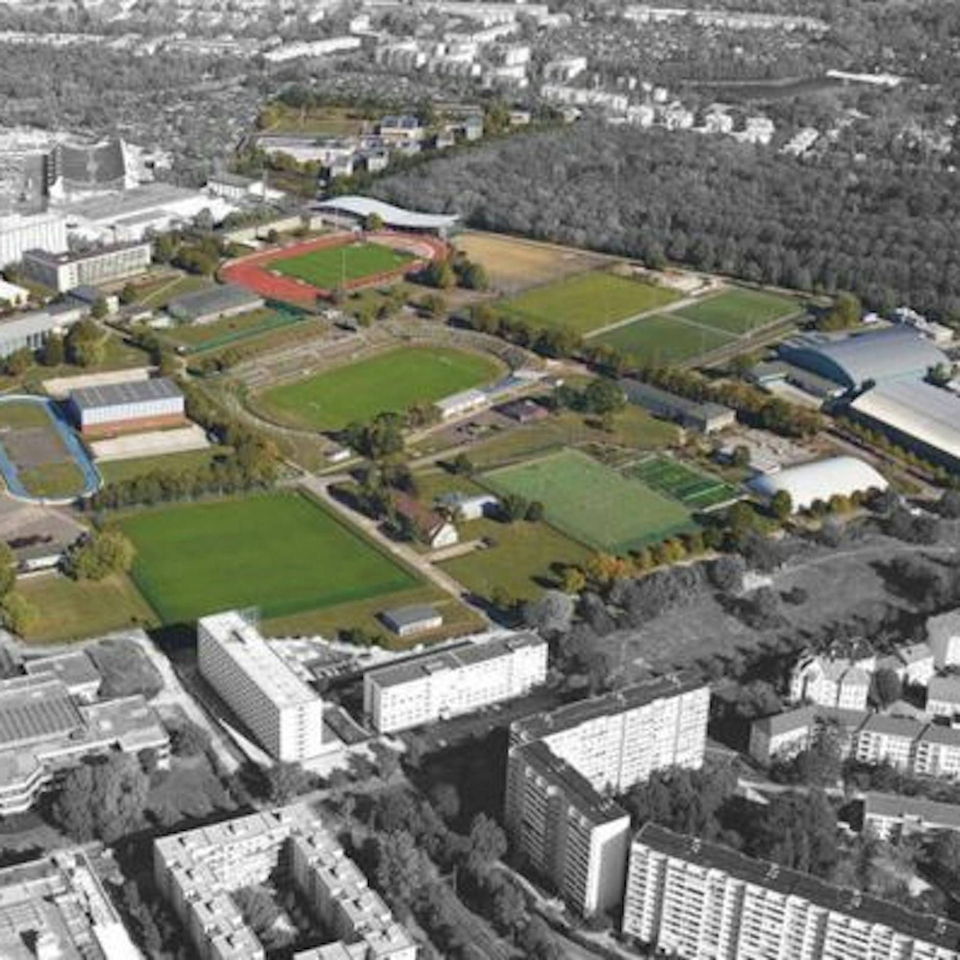 BFC Dynamo: So geht es weiter mit dem Sportforum