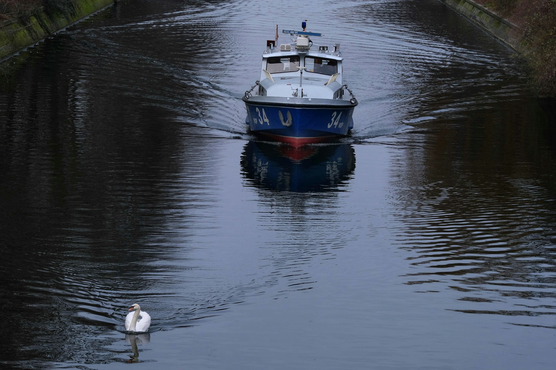 Der Landwehrkanal gilt seit jeher als „Kloake Berlins“: auch wenn dort Schwäne schwimmen.