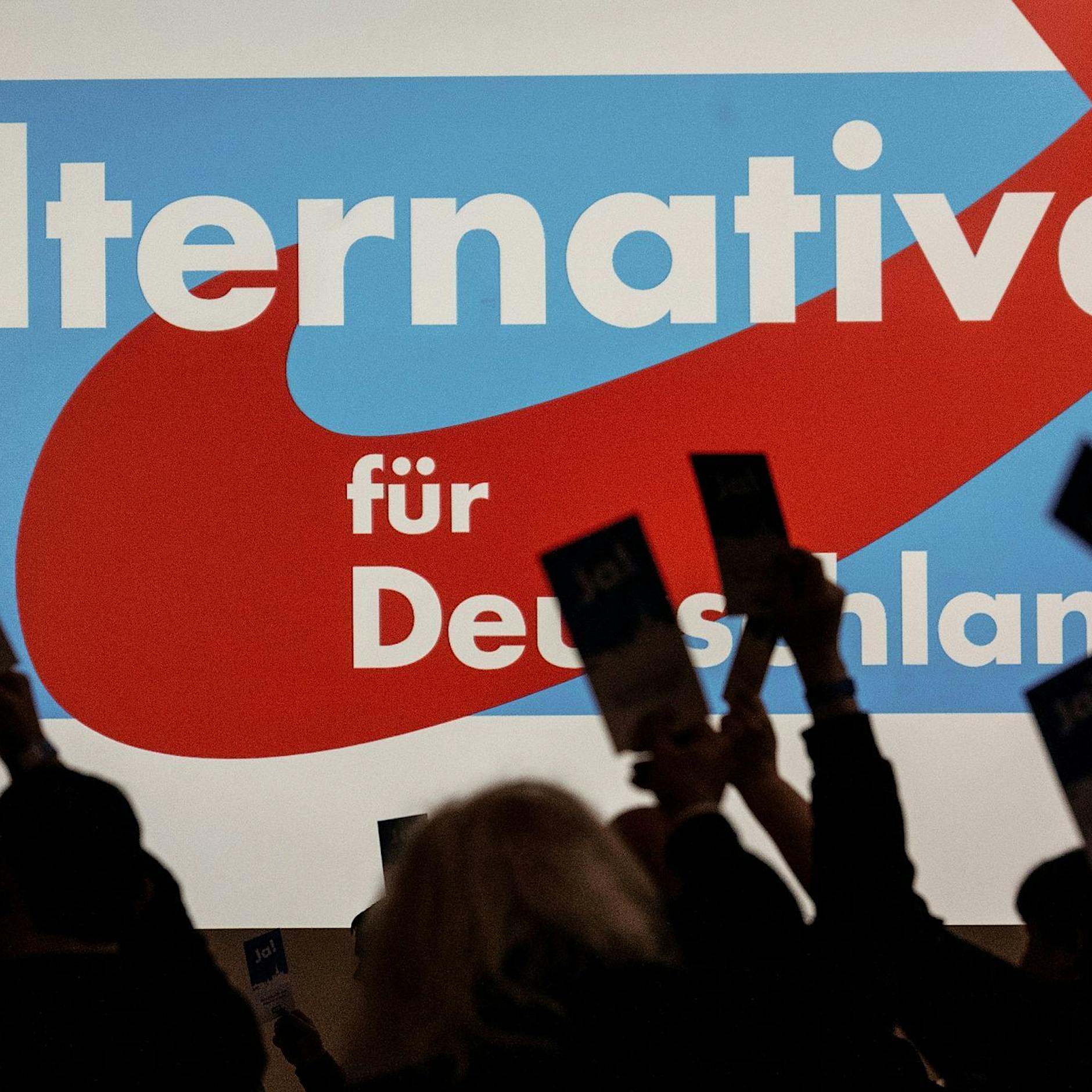 AfD-Chefs wollen EU auflösen - Leitantrag zur Europawahl