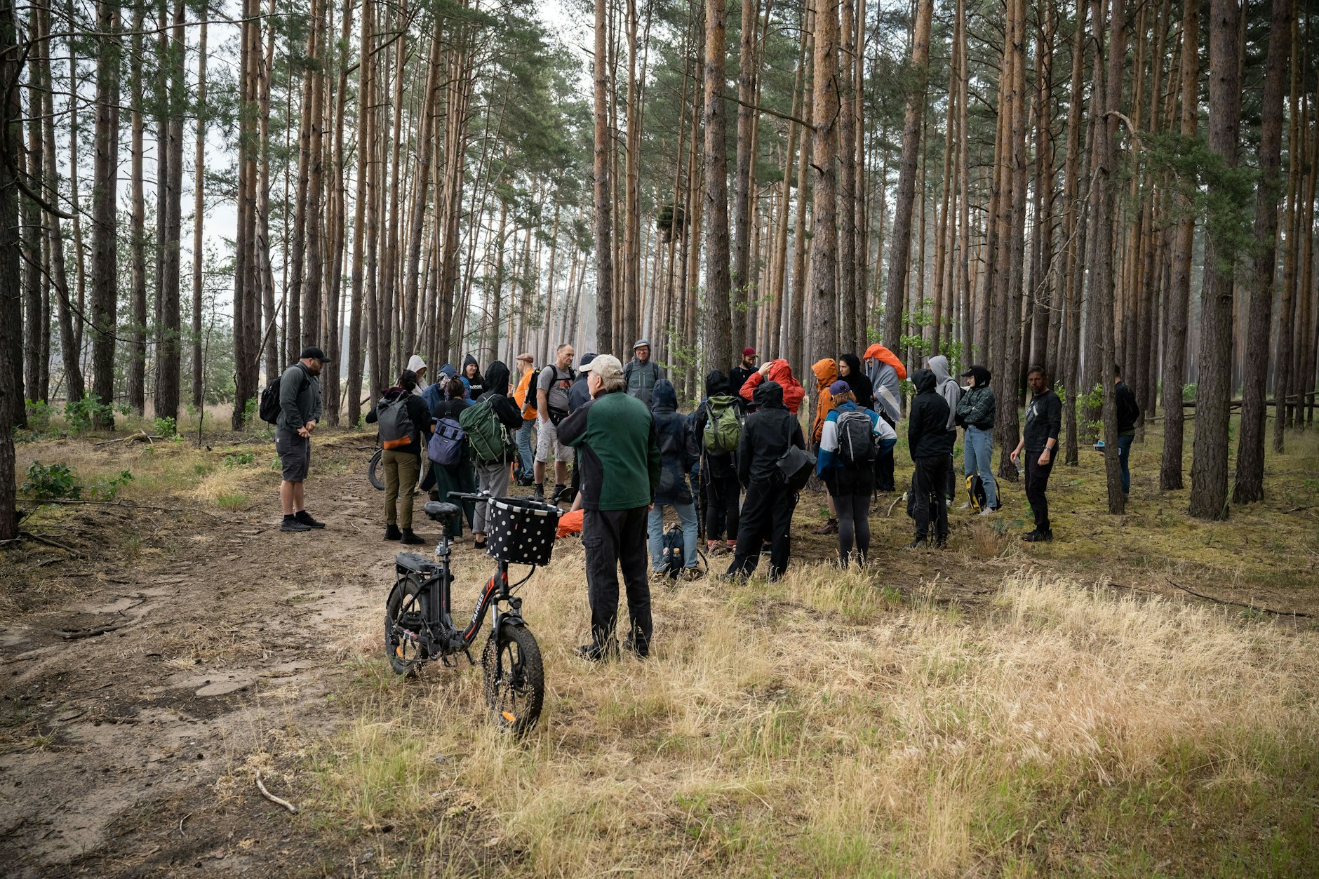 Etwa 30 Menschen versammelten sich zum Spaziergang durch den betroffenen Kiefernwald. Der Fall sei für sie ein „Verbrechen“ gegen die Natur.