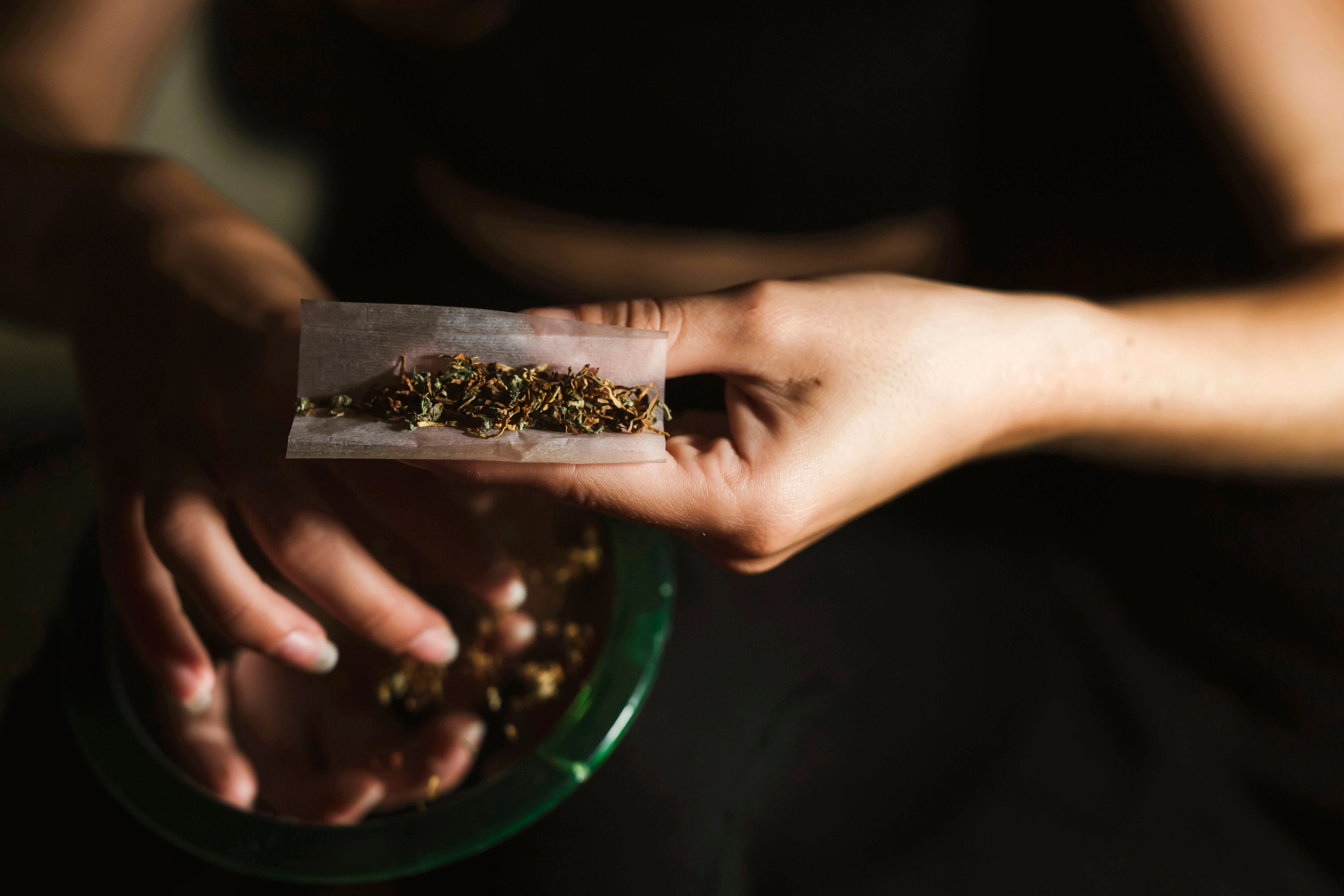 In dieser Form konsumieren die meisten Cannabis: Ein Joint wird gerollt.