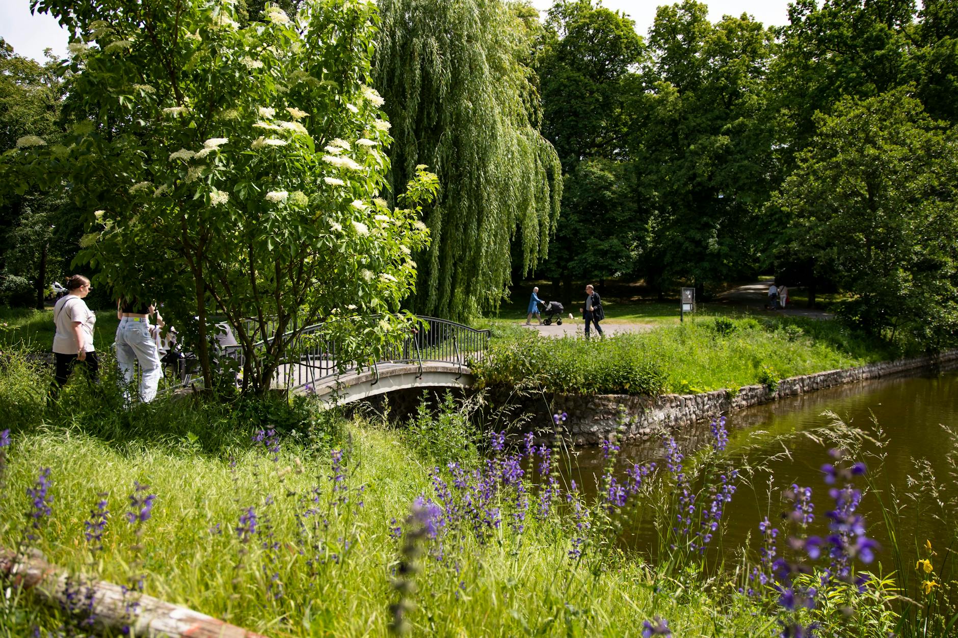Alter Park in Tempelhof in Berlin am 31. Mai 2023.