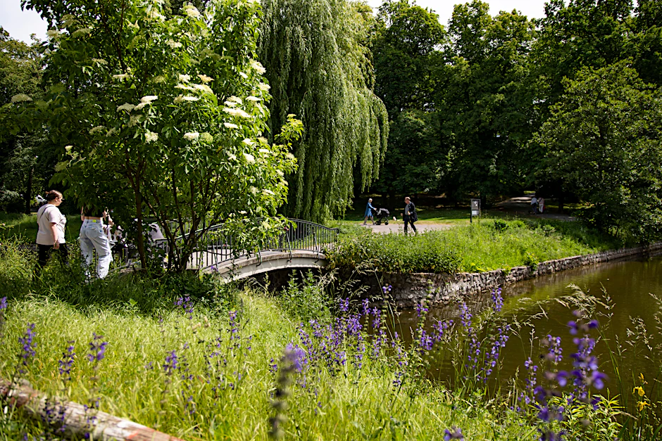 Alter Park in Tempelhof in Berlin am 31. Mai 2023.