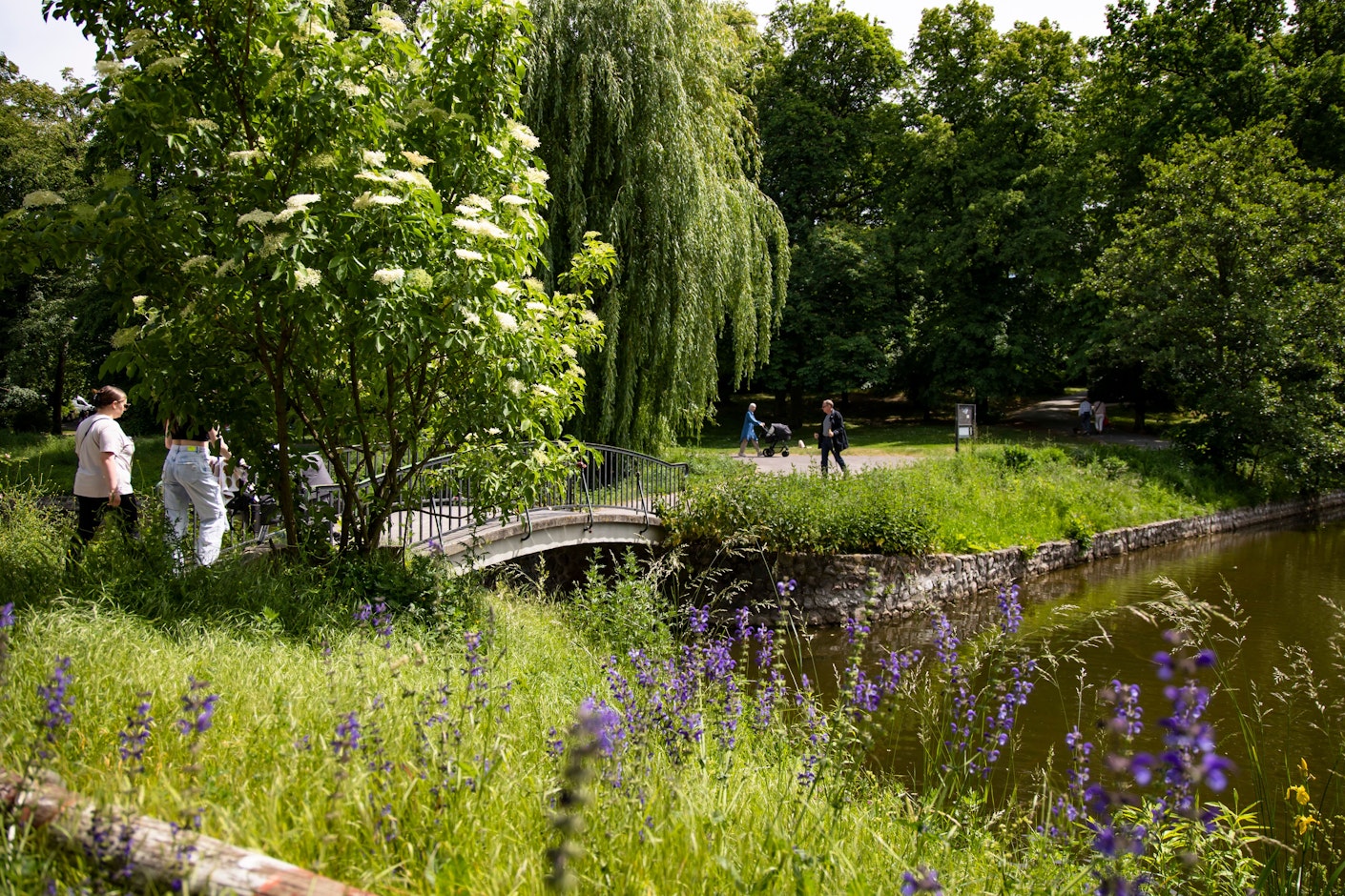 Geheime Gärten Das sind Berlins schönste unbekannte Parks