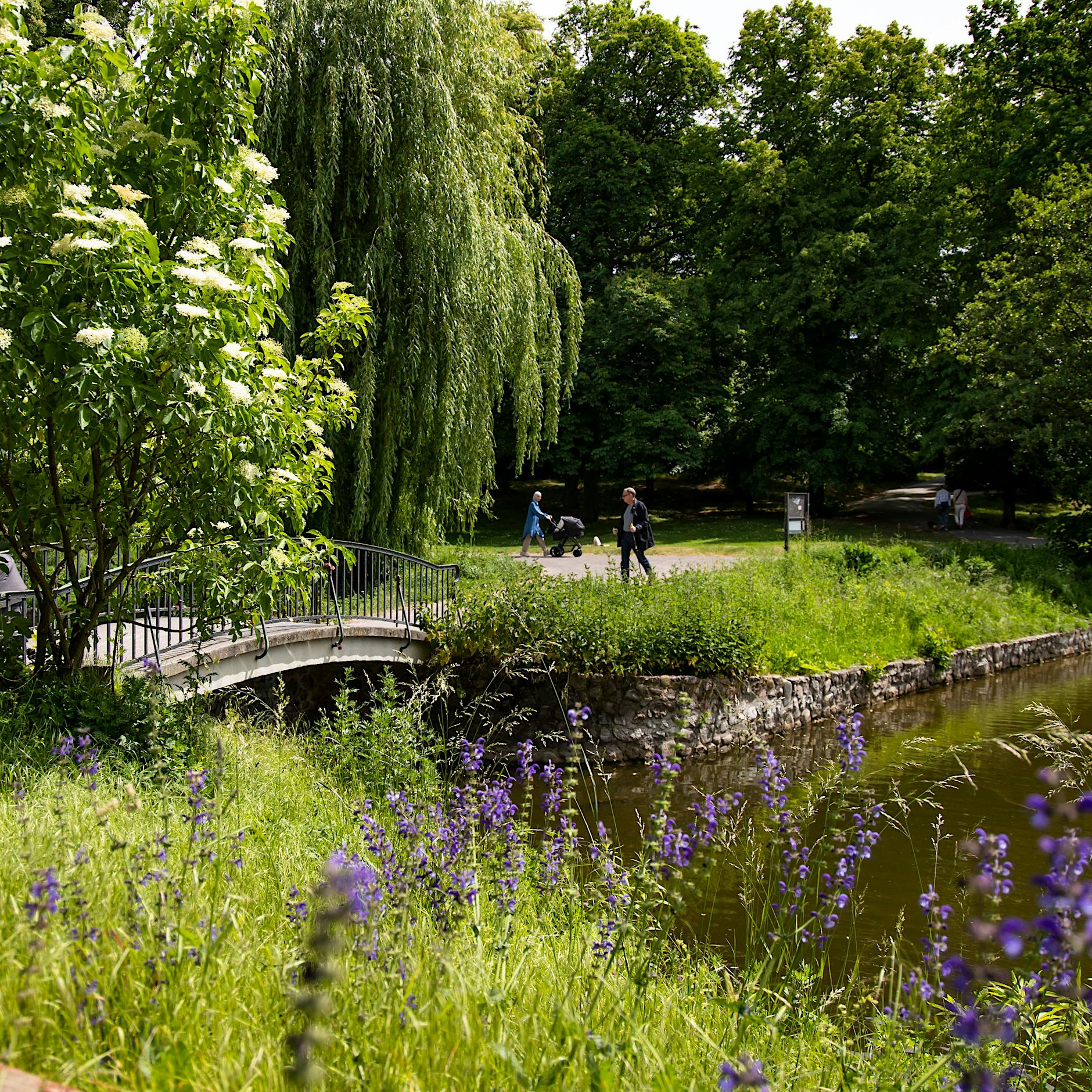 Geheime Gärten: Das sind Berlins schönste unbekannte Parks