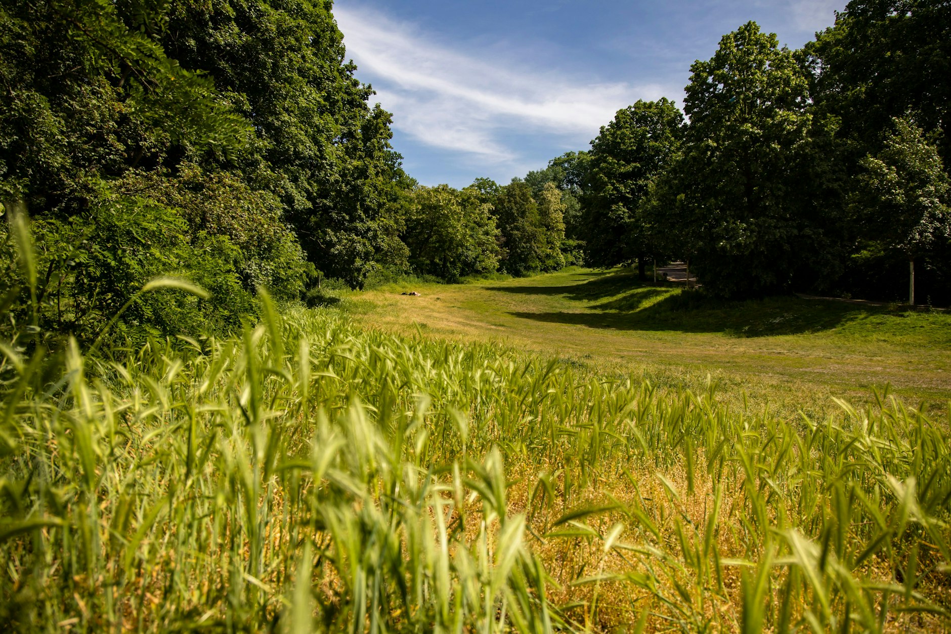 Fritz-Schloß-Park in Moabit in Berlin am 31. Mai 2023.