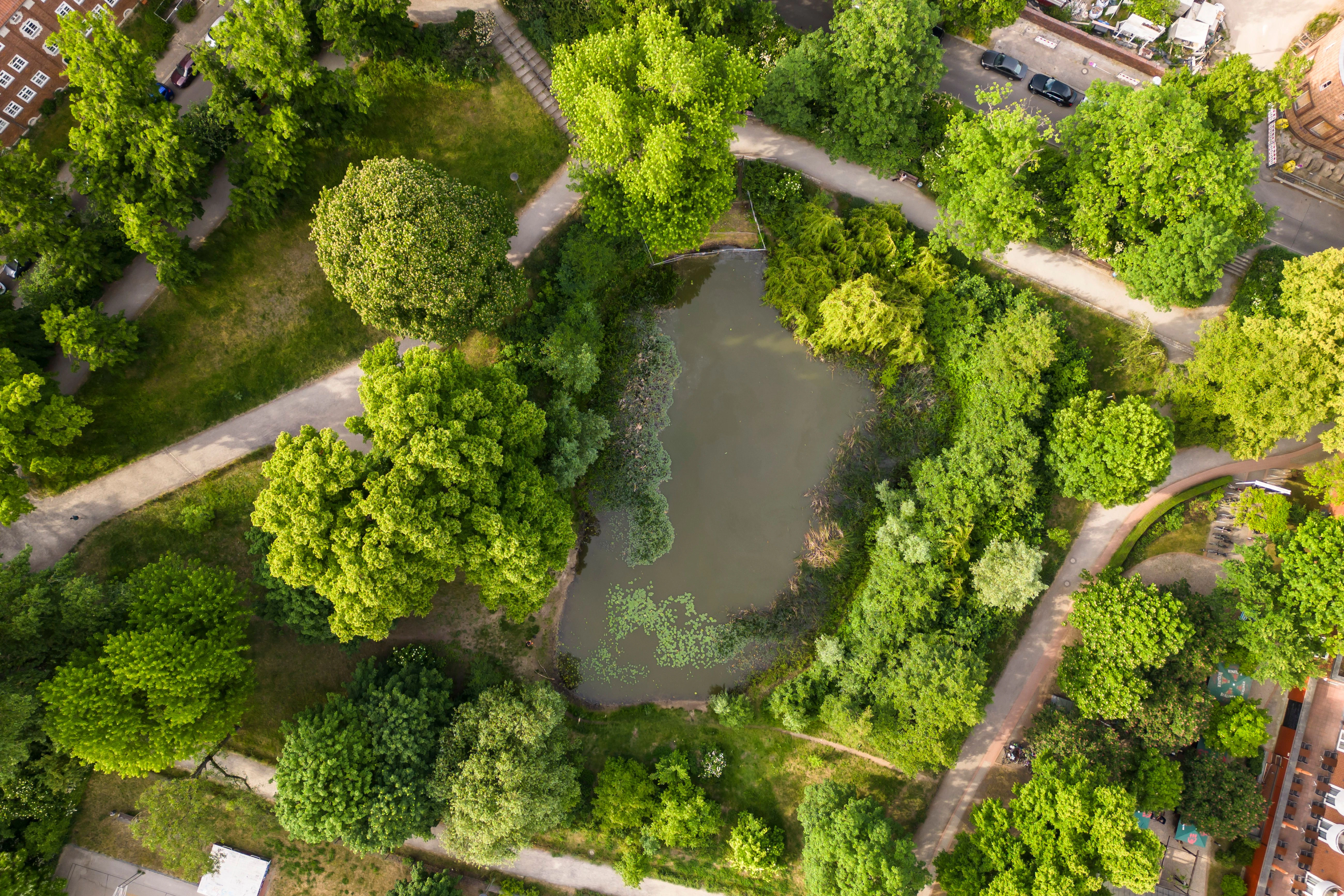 Fischenteich im Werner-Klemke-Park in Weißensee in Berlin am 31. Mai 2023.