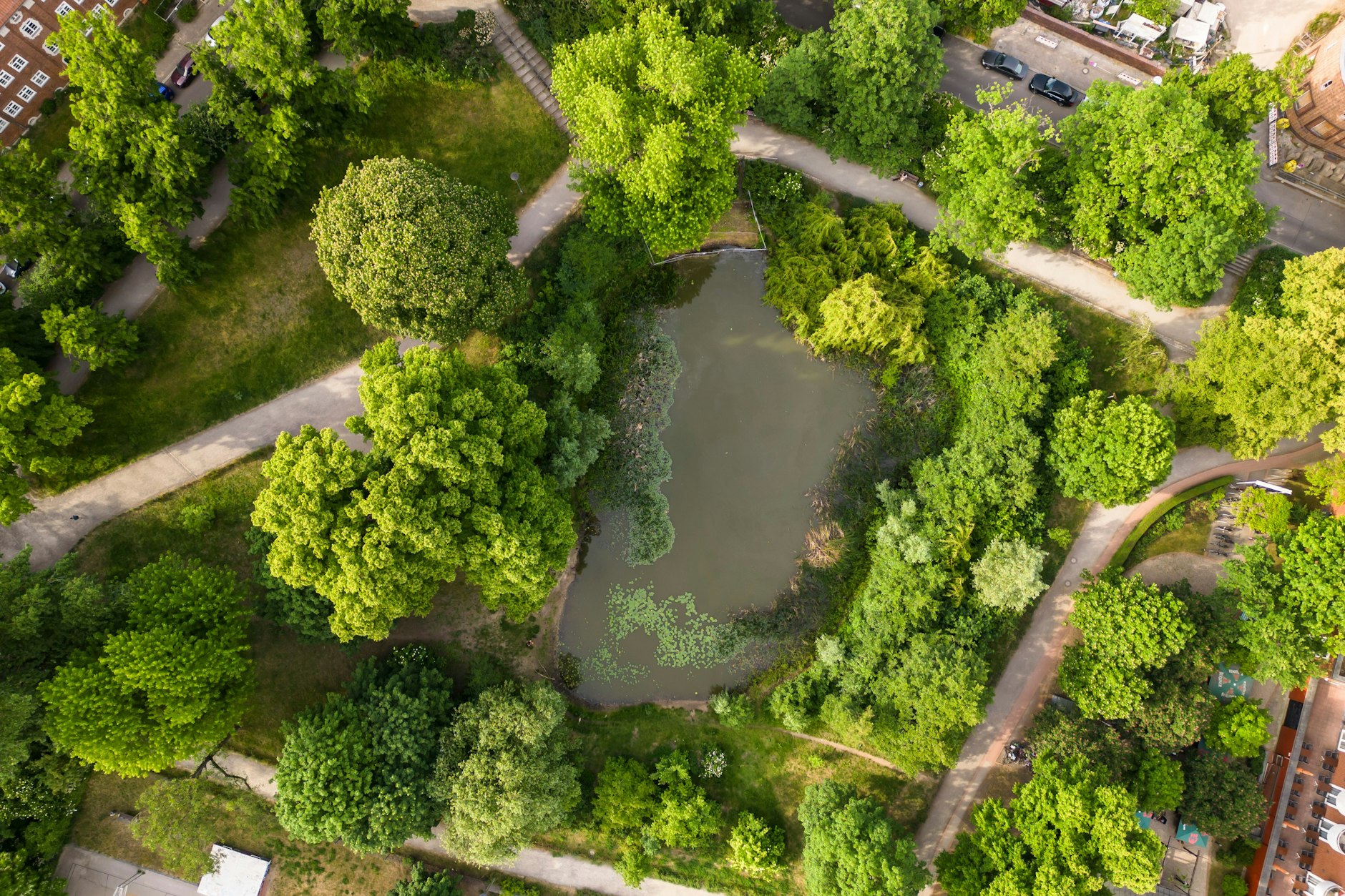 Fischenteich im Werner-Klemke-Park in Weißensee in Berlin am 31. Mai 2023.