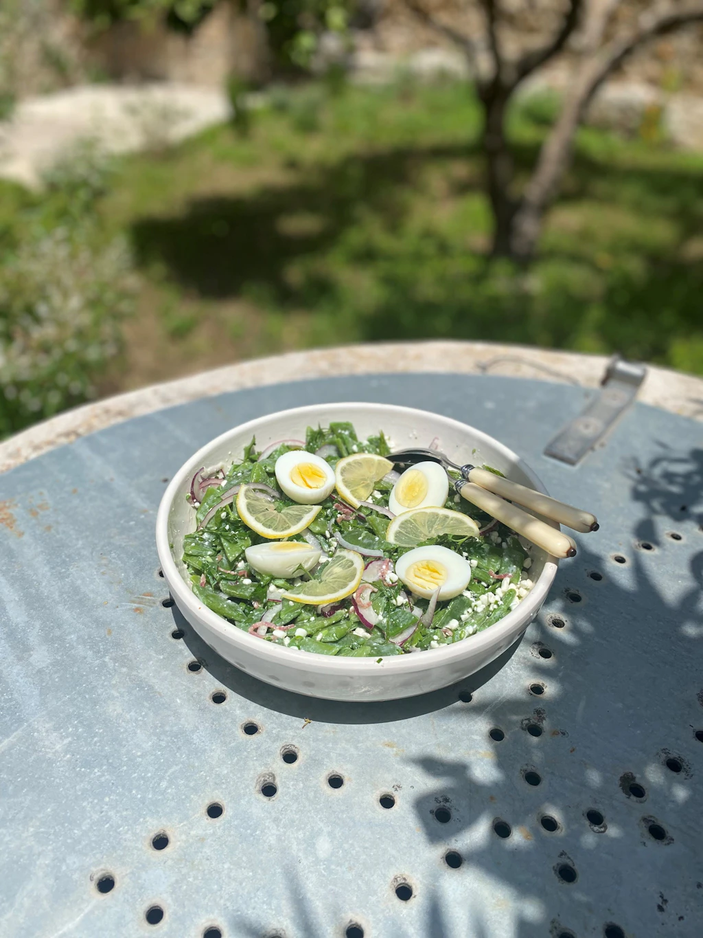 Bohnensalat als Boosterfood – gelingt mühelos und schmeckt