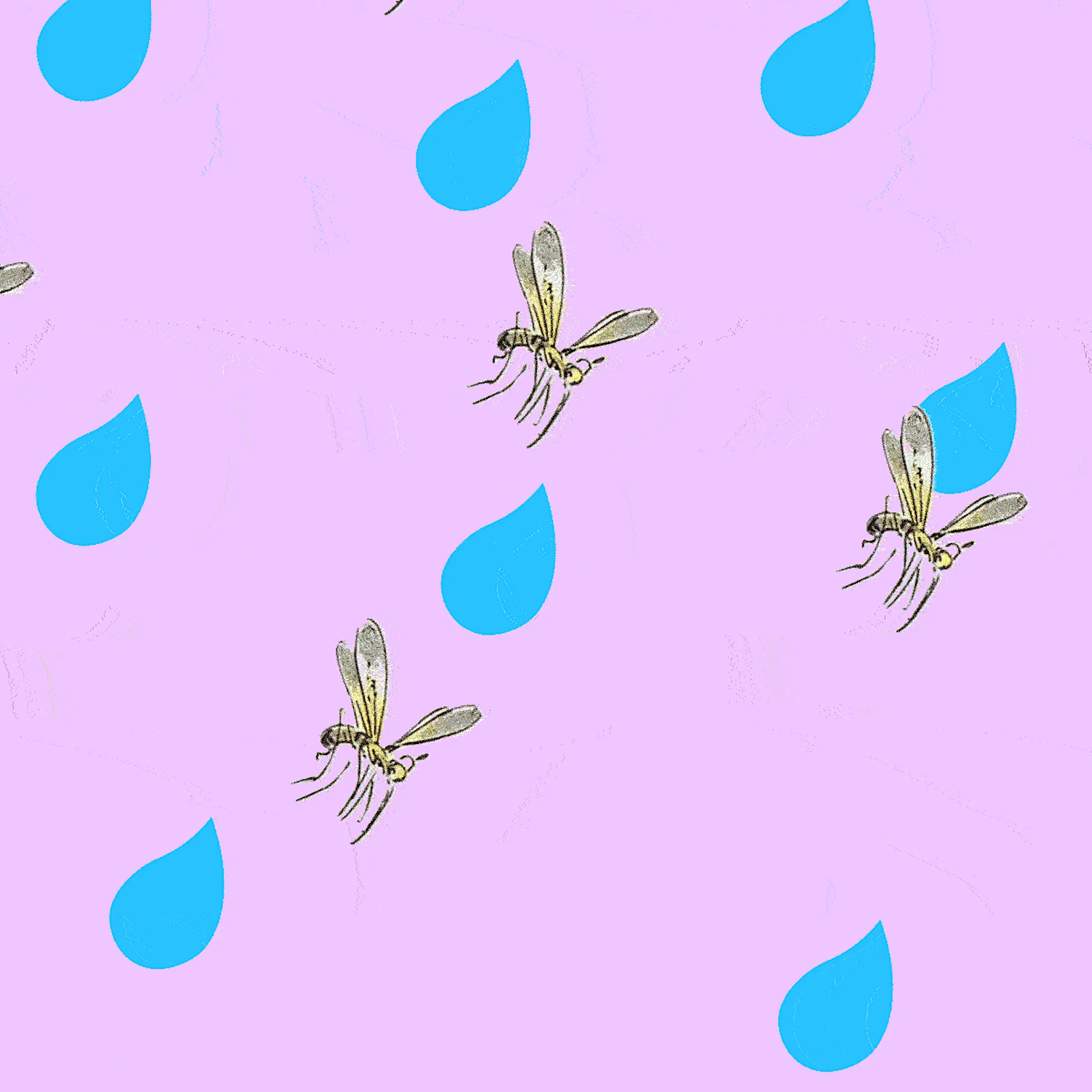 Fliegen Mücken bei Regen? Darum sollten Sie nach dem Schauer nicht lüften.