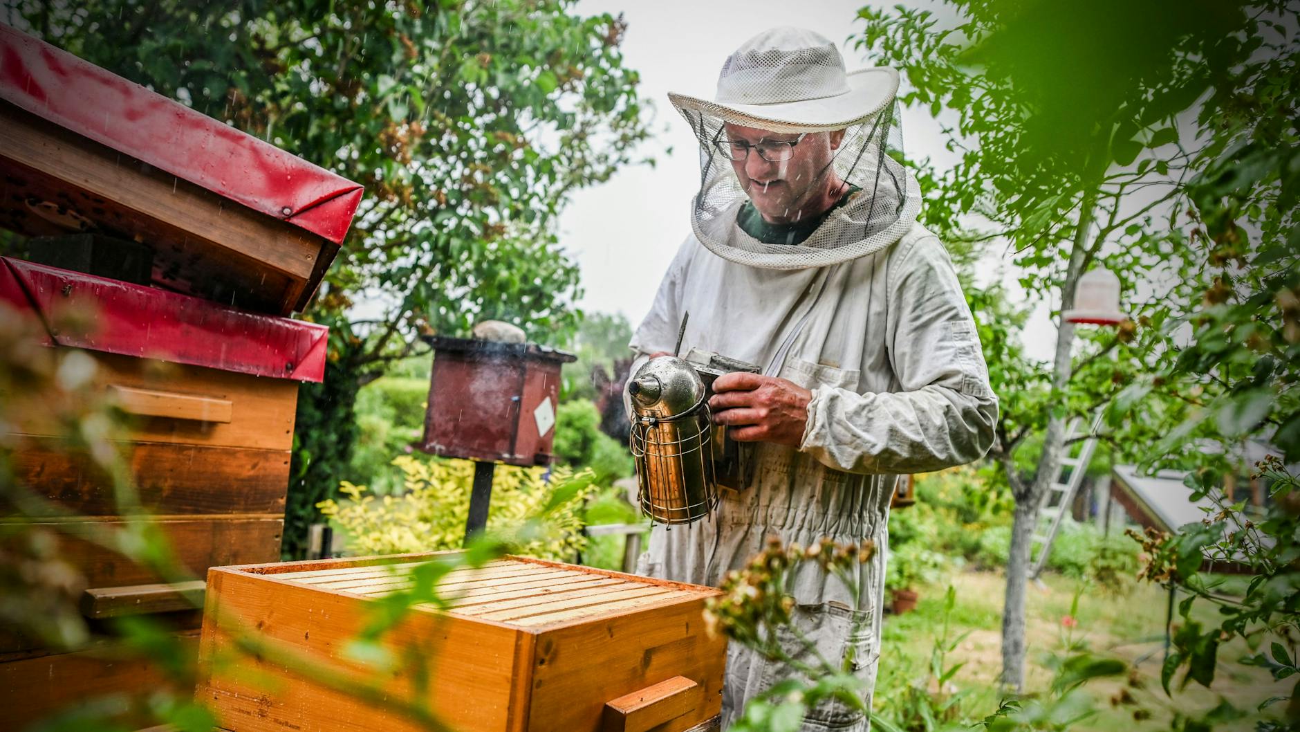 Wolfgang Baum hält in Pankow Bienen. Kleingärten sind wichtig für das Klima der Stadt, sagt er. 