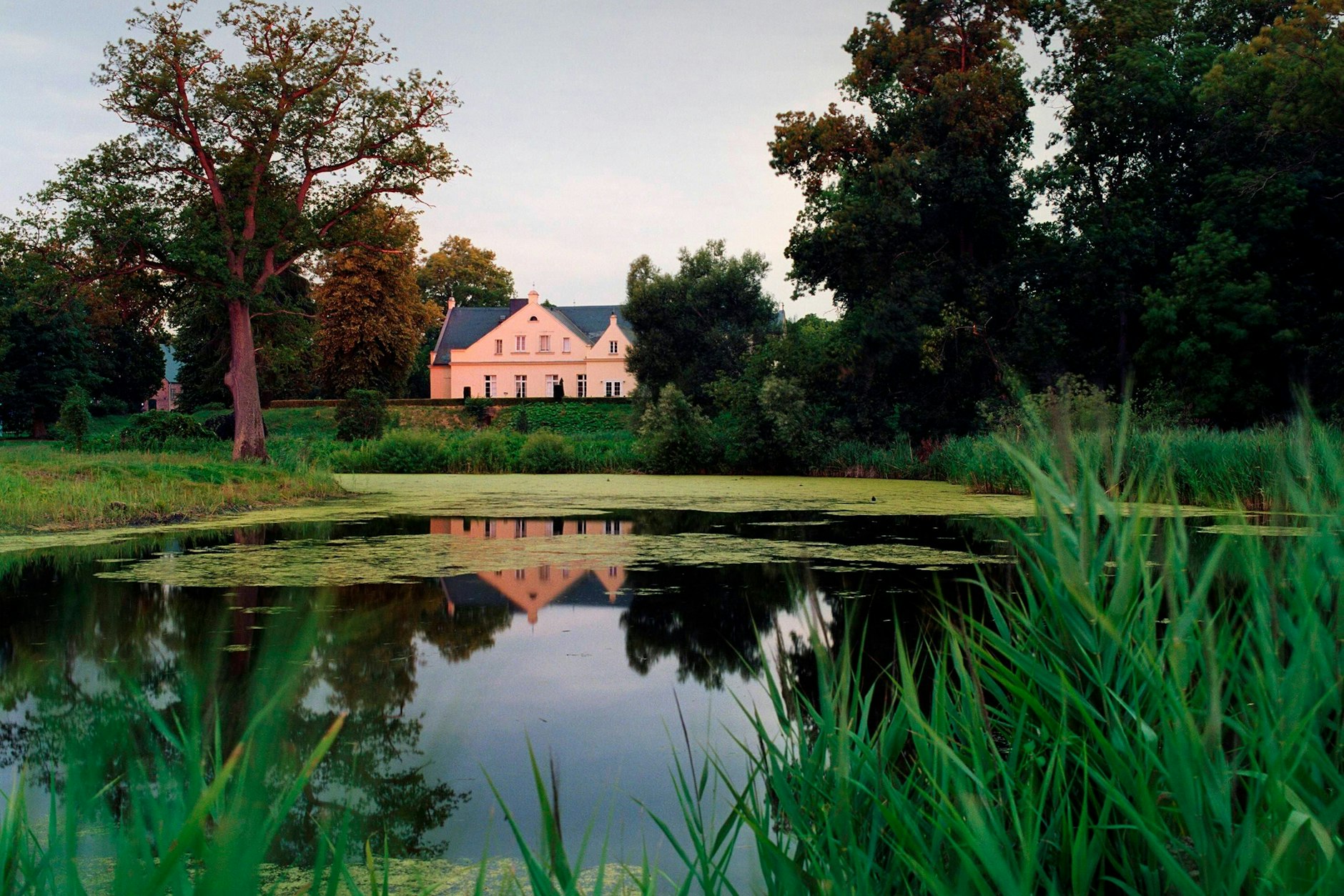 Das Gut Dalwitz bietet auf einem museumsreifen Gehöft mit Pferden Angebote für Ferien auf dem Bauernhof.