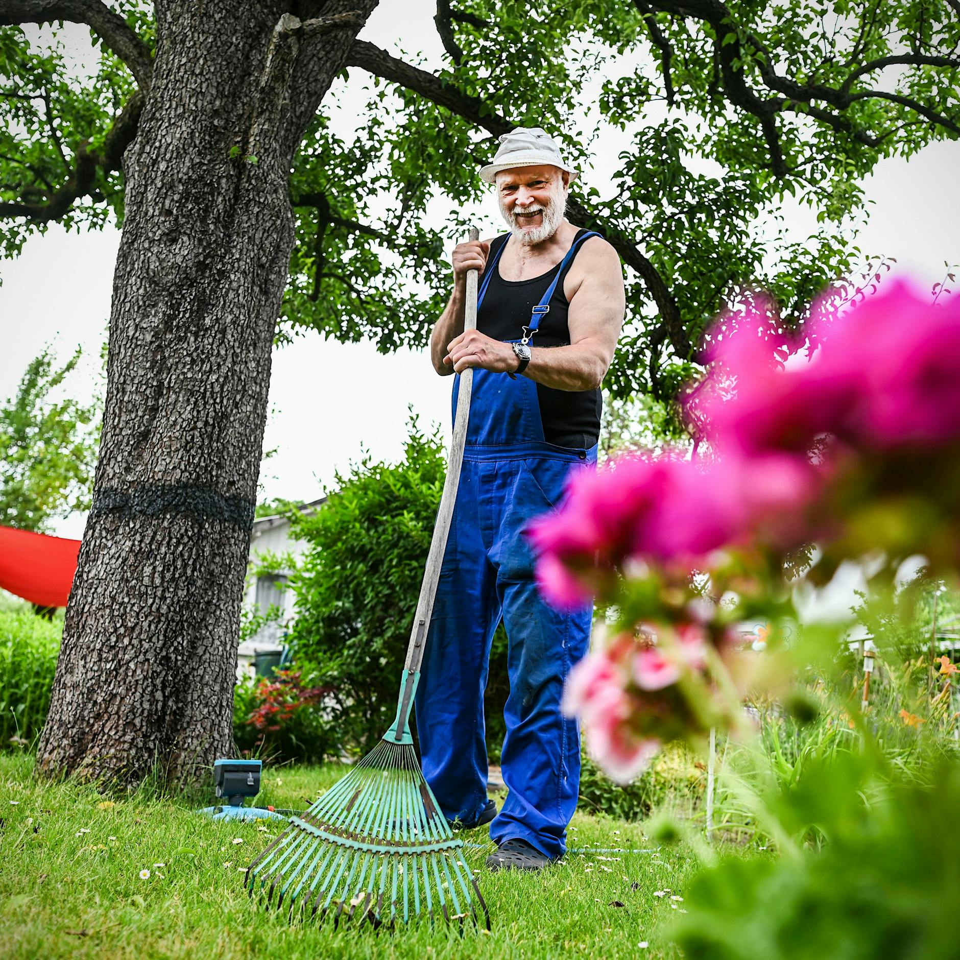 Erste Kleingartenanlage in Pankow bekommt Kündigung