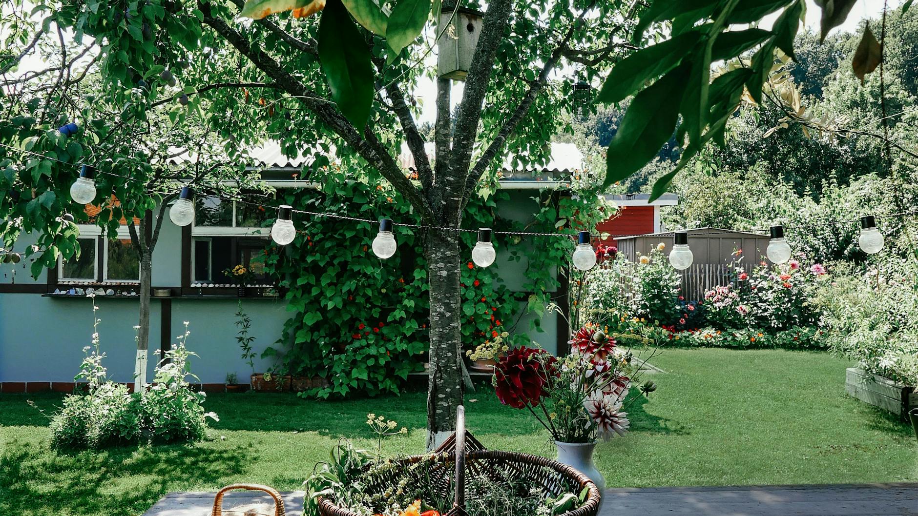 Die Autorin und Illustratorin Janine Sommer arbeitet auch in ihrem Garten.