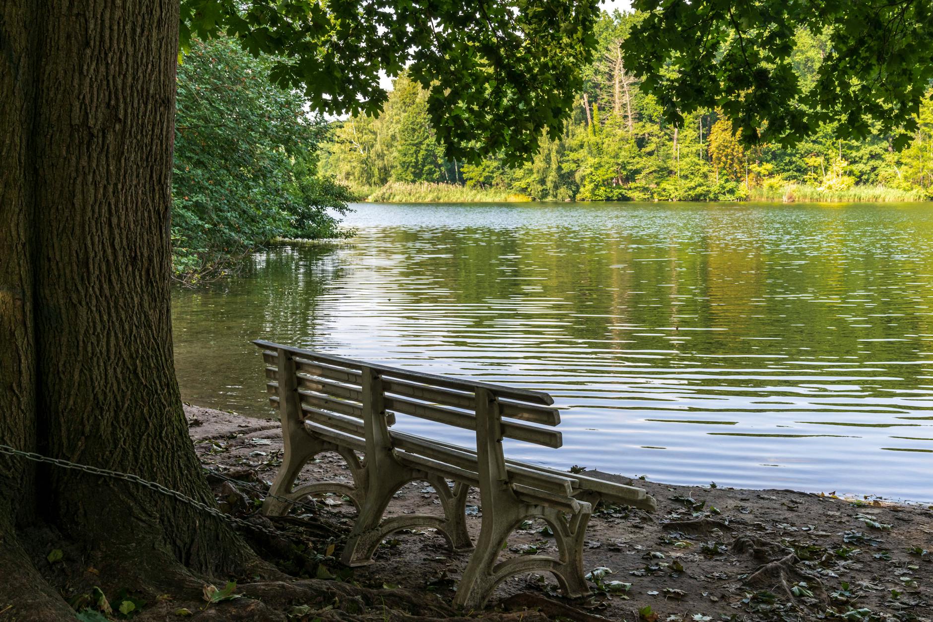 Der Schlachtensee in Berlin ist vor allem an Wochenenden brechend voll mit Kindern und Jugendlichen, diesen Donnerstag war er hingegen ziemlich leer.