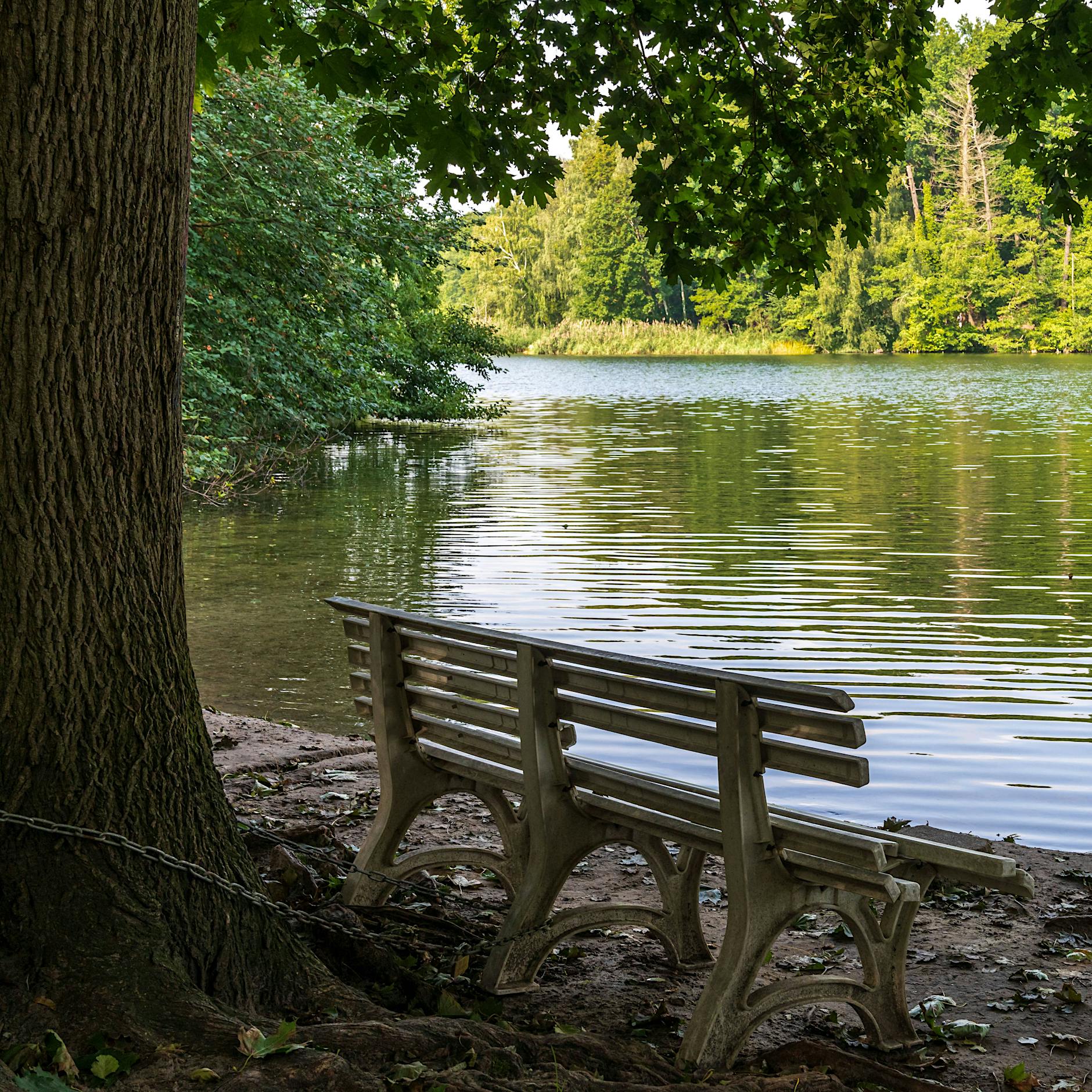 14-Jährige soll von zwei Männern am Schlachtensee vergewaltigt worden sein