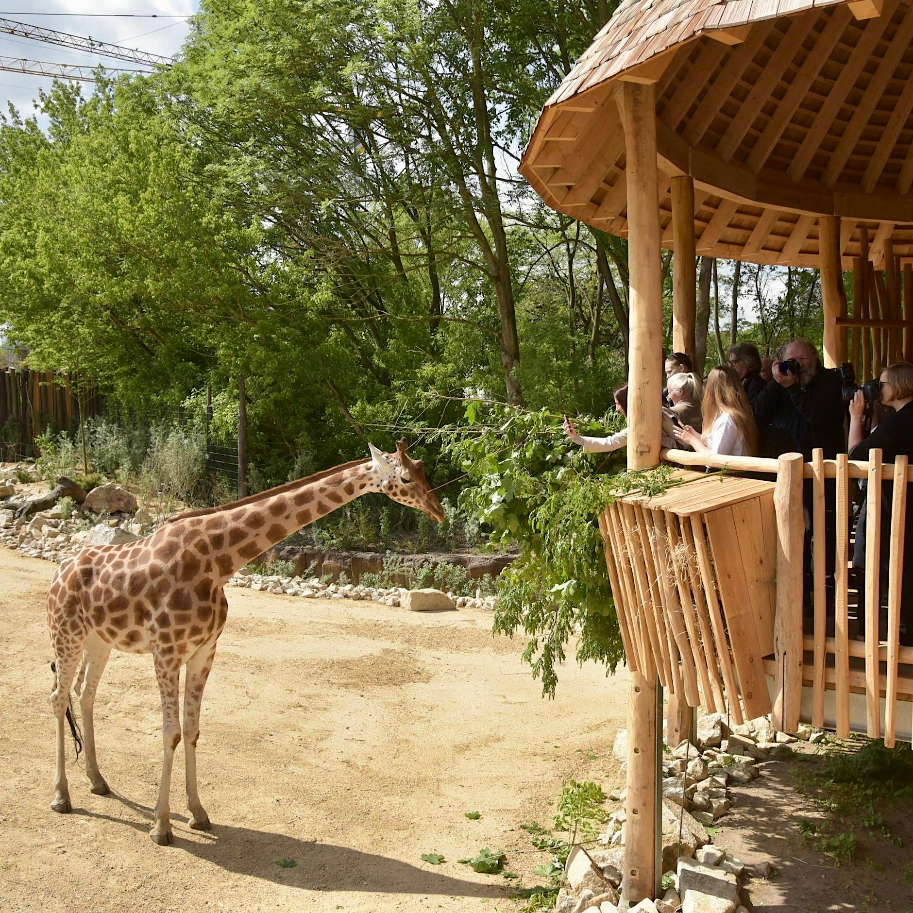 Tierpark Berlin: Das erwartet Sie in Europas größtem Landschaftszoo in Lichtenberg