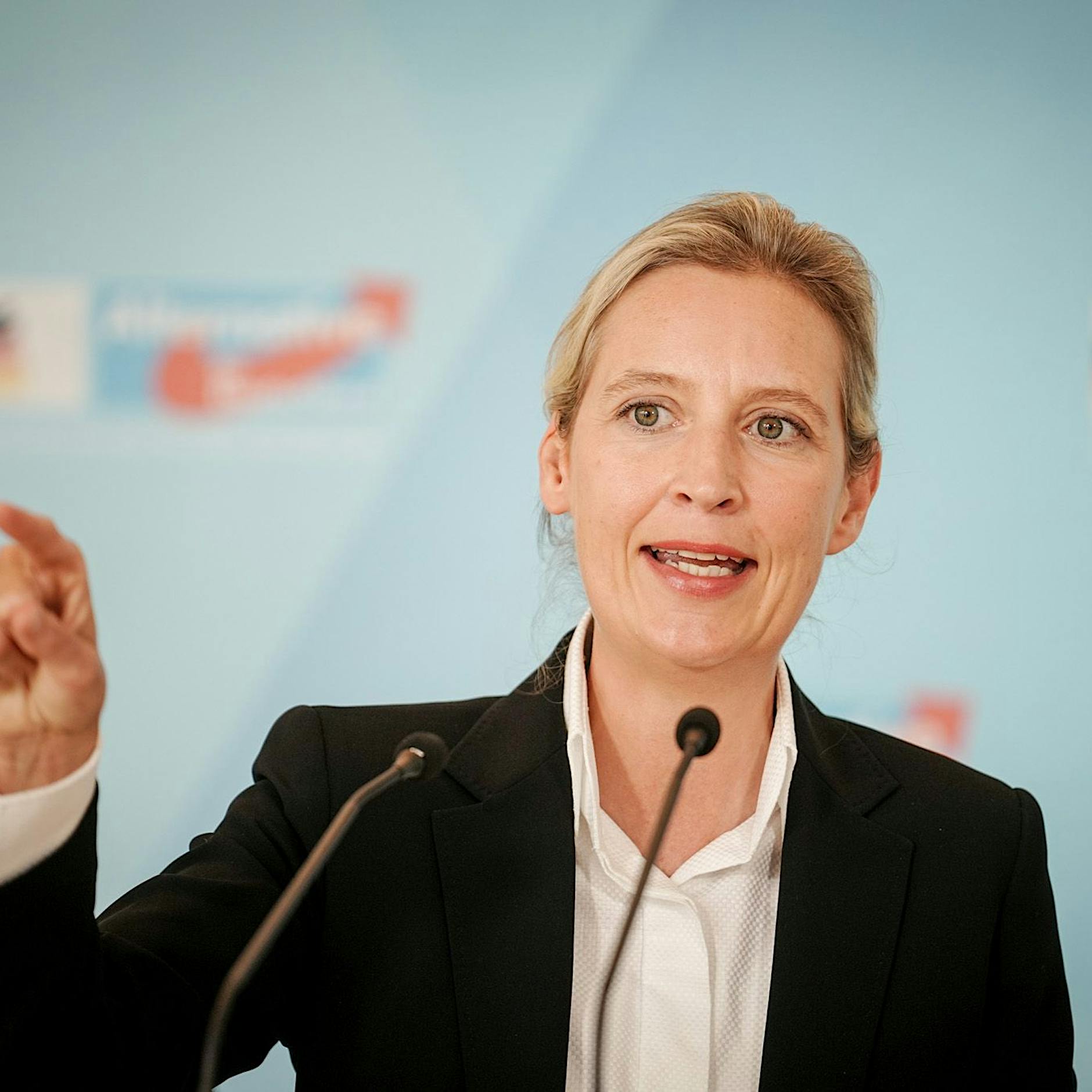 Weidel hat Lust auf AfD-Kanzlerkandidatur
