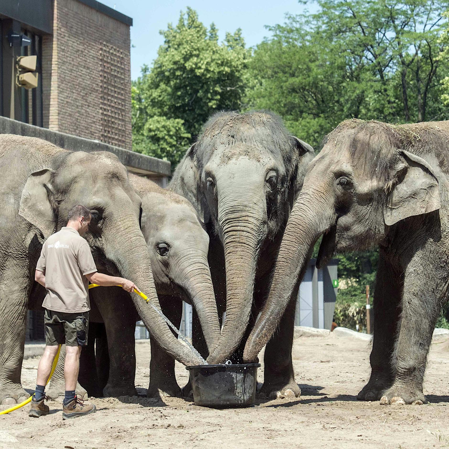 Berlin soll Wasser sparen: Doch wer fängt damit an?