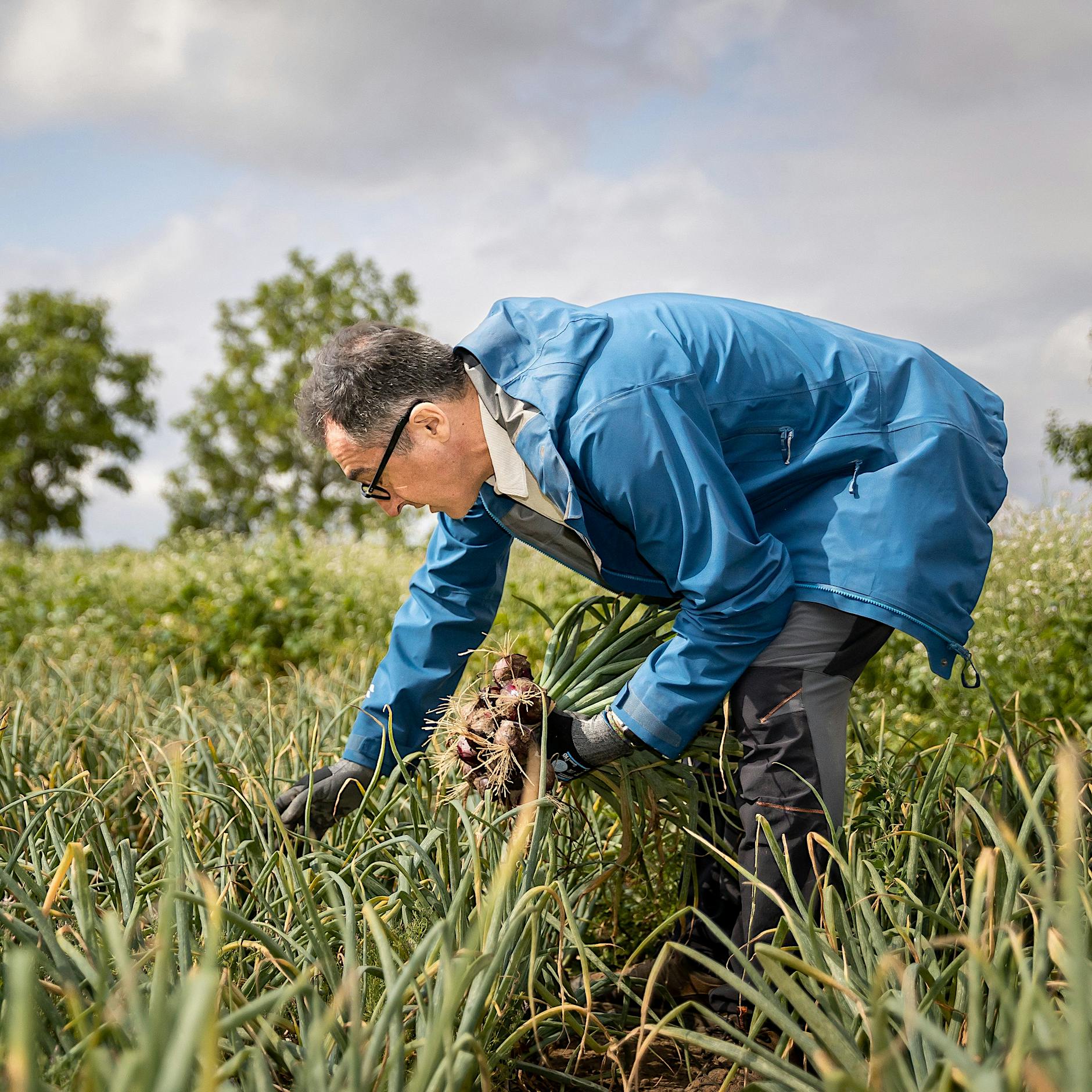 Nutrition Hub aus Berlin: Wer sind Cem Özdemirs 170 Ernährungsexperten?