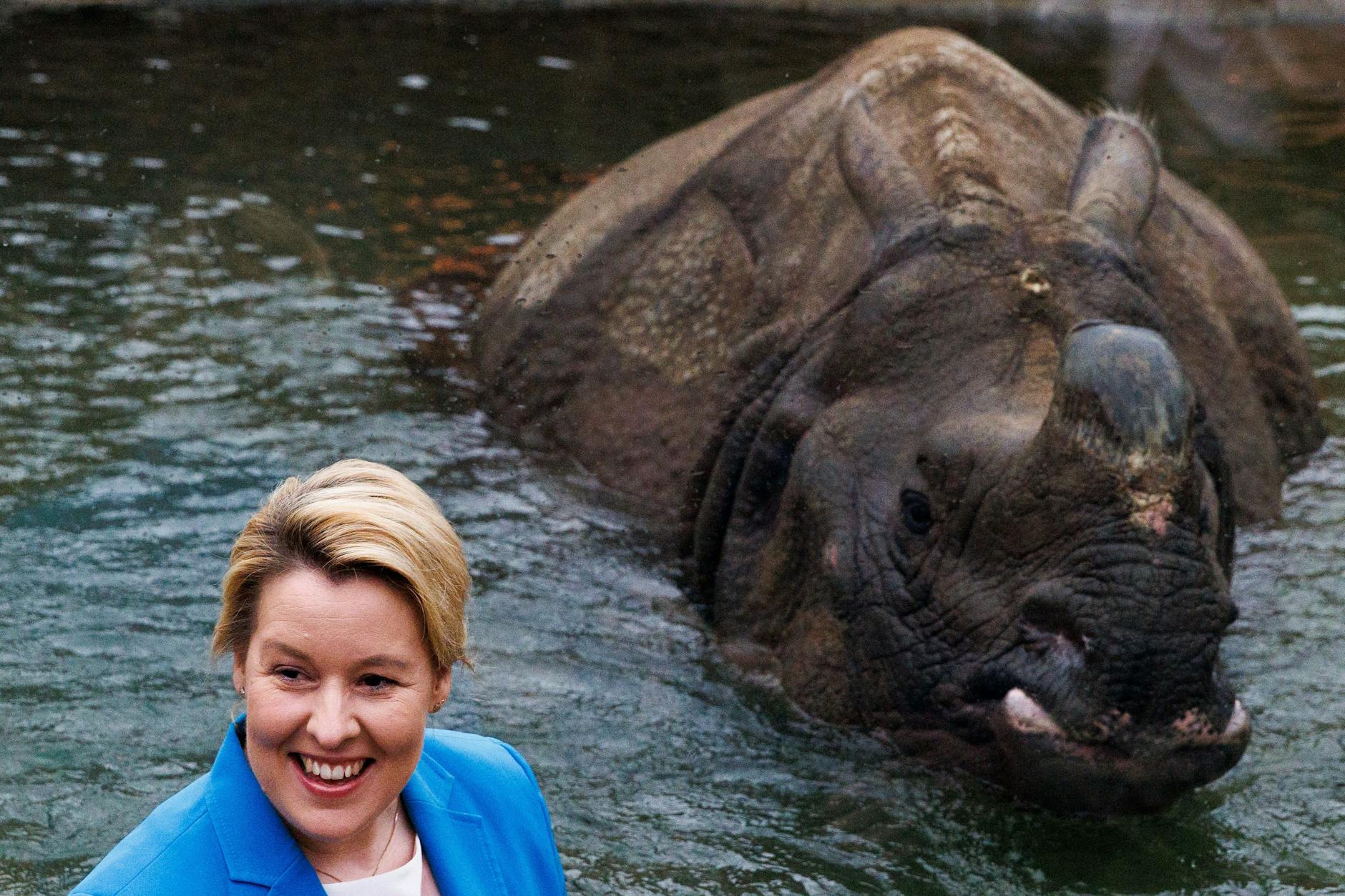 Auch Wirtschafssenatorin Franziska Giffey machte bei der Eröffnung Bekanntschaft mit den Berliner Nashörnern.