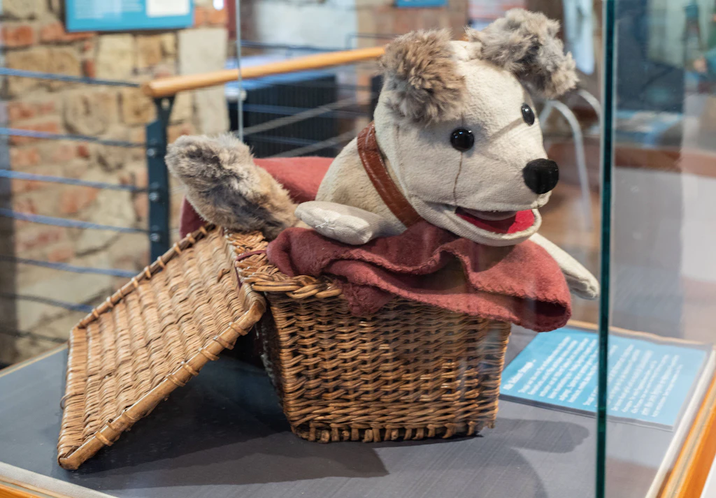Kinder-Held aus der DDR: Wenn Sie DIESEN Hund kennen, sind Sie ein echter Ossi!