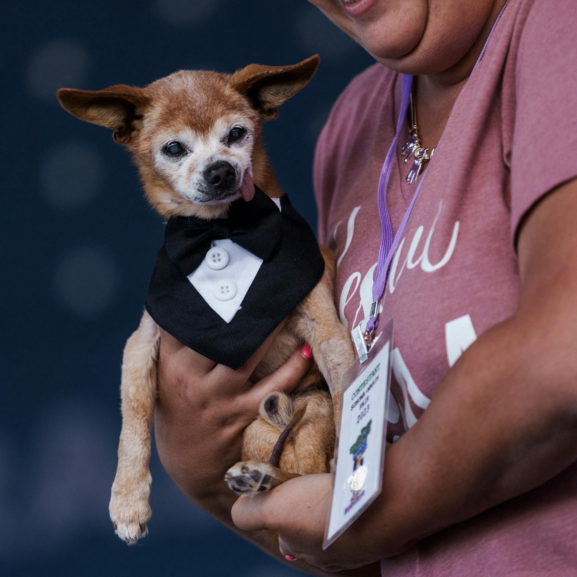 Harold Bartholomew mit Frauchen Sabrina Impelido.