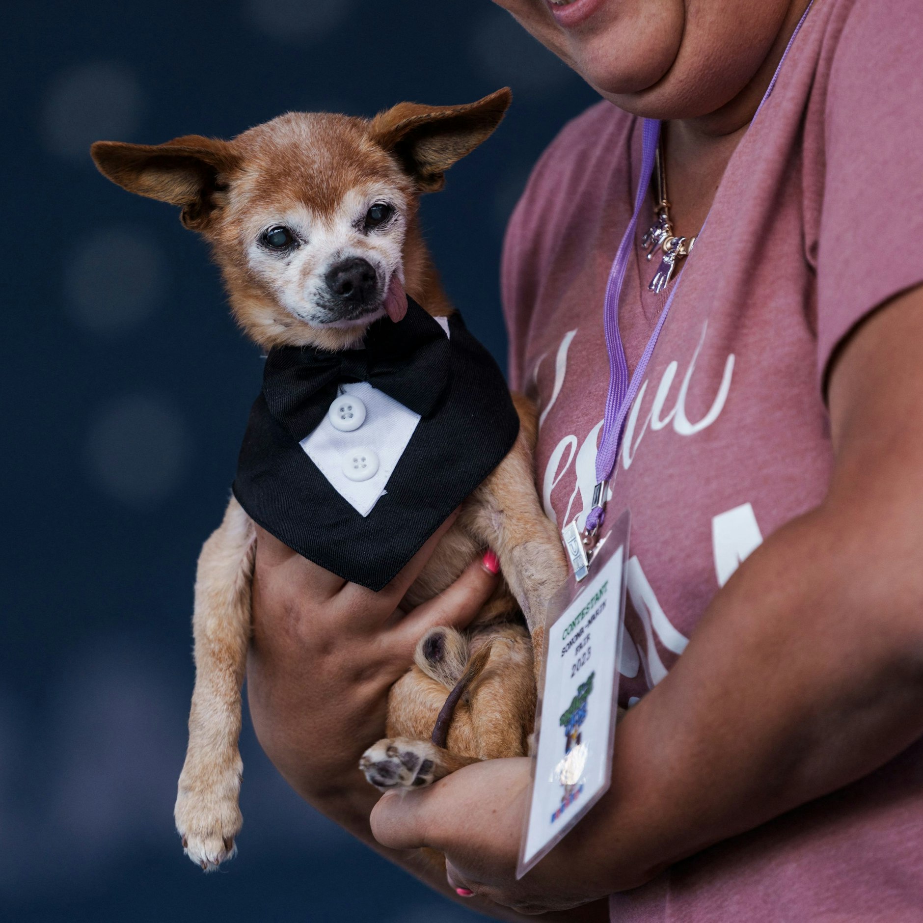 Harold Bartholomew mit Frauchen Sabrina Impelido.
