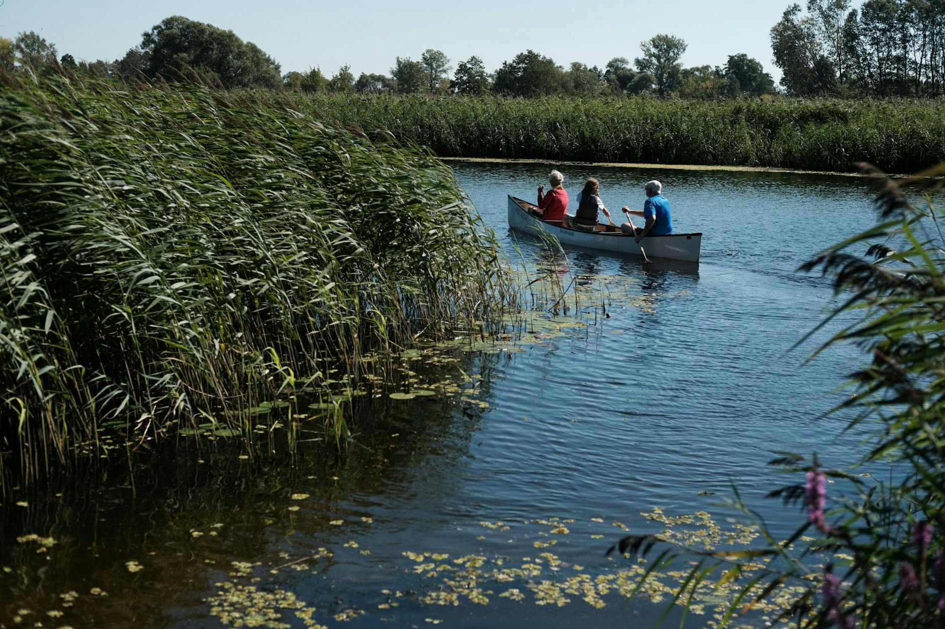 Das Untere Odertal ganz im Nordosten von Brandenburg ist der einzige Auennationalpark in ganz Deutschland.