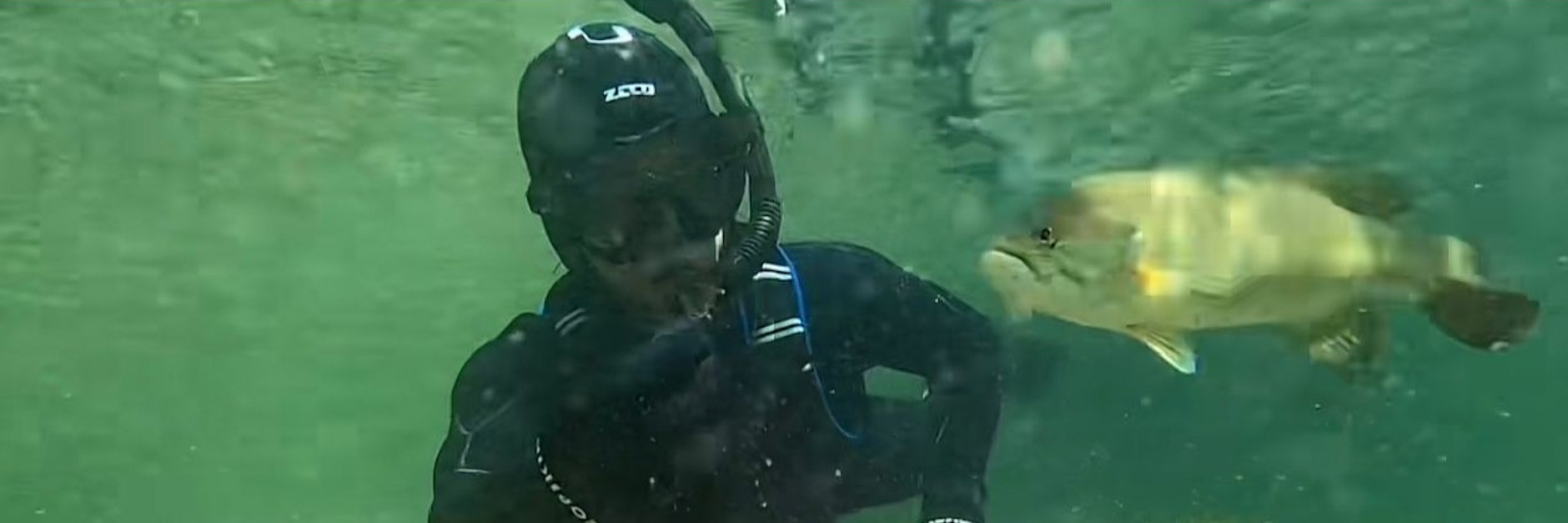 Rex Colubra hat sich mit dem Schwarzbarsch Elvis angefreundet.