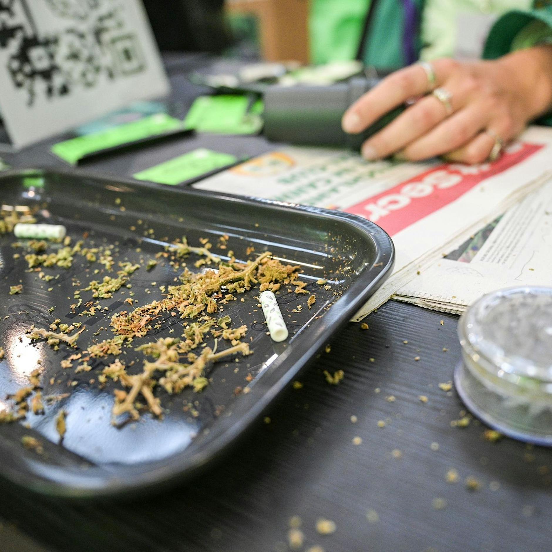 Hanfmesse in Berlin: Eigenanbau entwickelt sich zum Trend