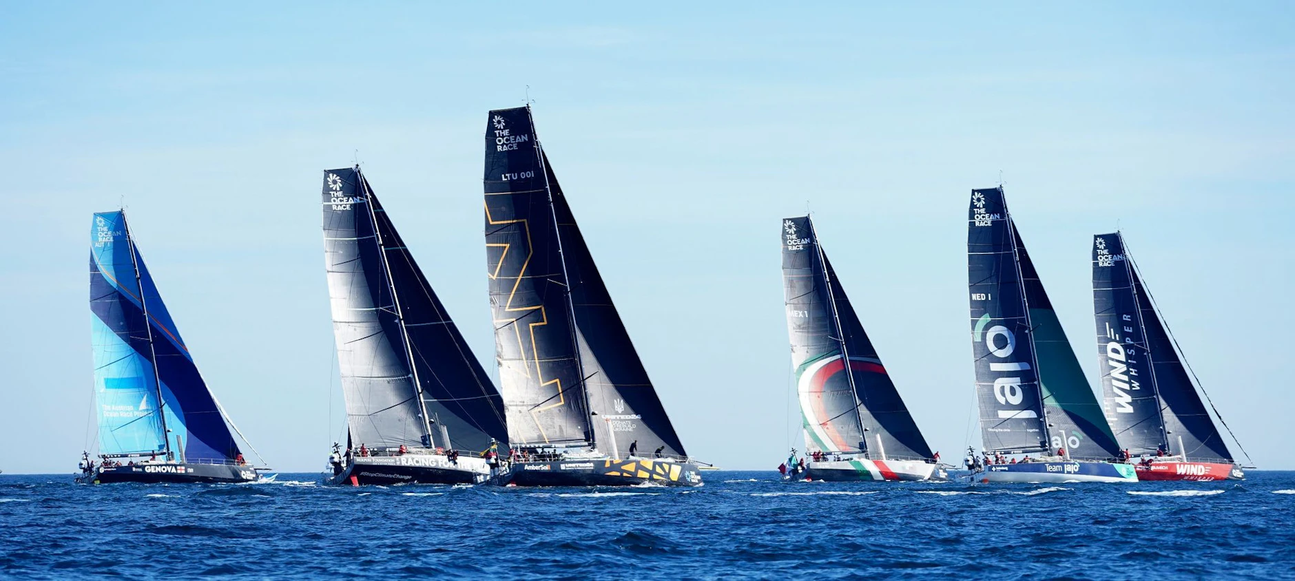 The Ocean Race: Orcas greifen Regatta-Yachten an