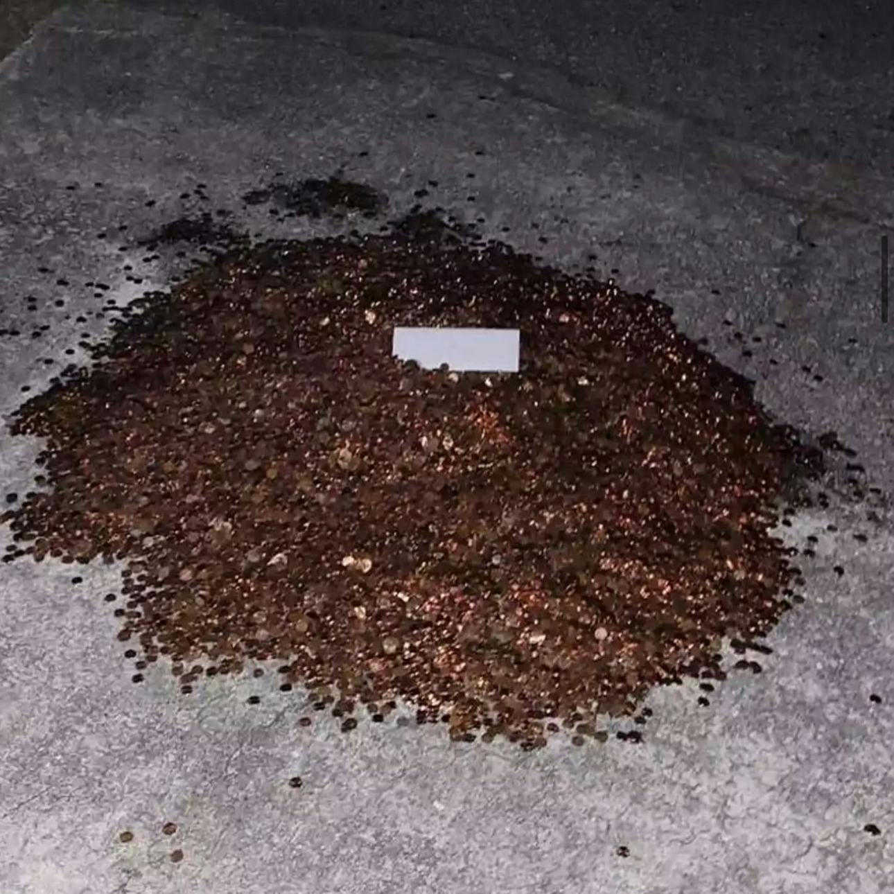 So lagen die 91.500 Cent-Stücke in der Auffahrt von Mike Flaten.