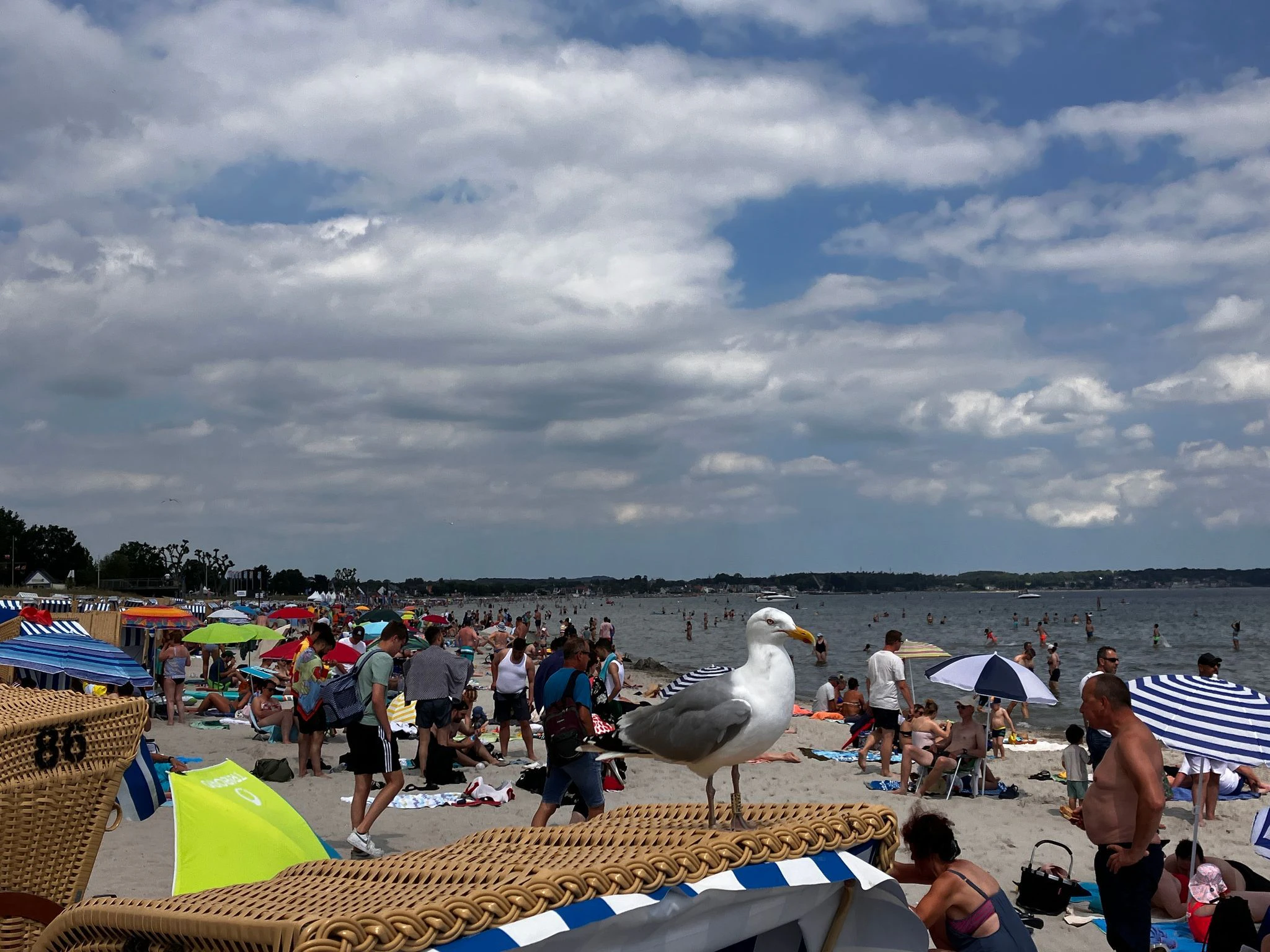 Eine Möwe steht auf einem Strandkorb in Scharbeutz. Zahlreiche Menschen genießen am Wochenende die Strände der Lübecker Bucht. Für die Menschen in Nordrhein-Westfalen ist es das erste Sommerferien-Wochenende.  